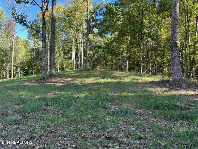 1585 Neddy Mountain Rd Property Photo 21