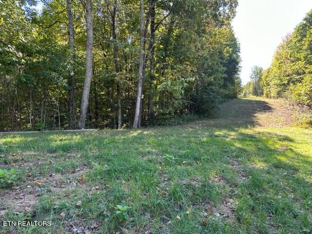 1585 Neddy Mountain Rd Property Photo 22