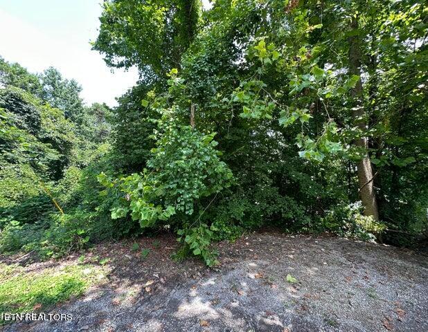 Rosemont Lane Property Photo 1