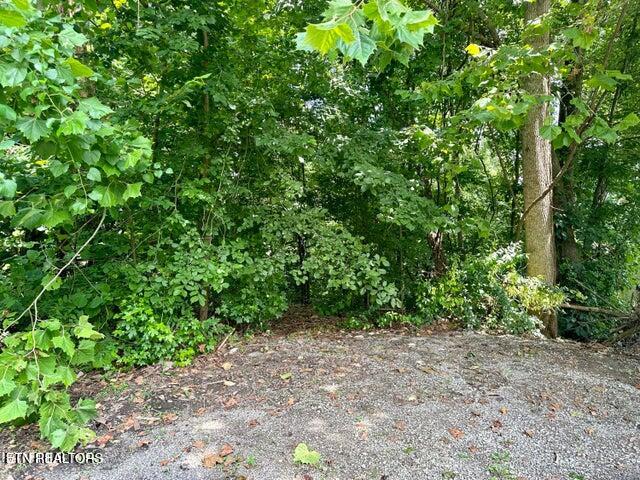 Rosemont Lane Property Photo 3