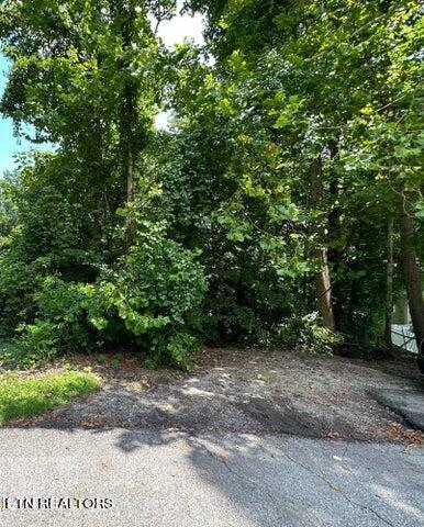 Rosemont Lane Property Photo 5