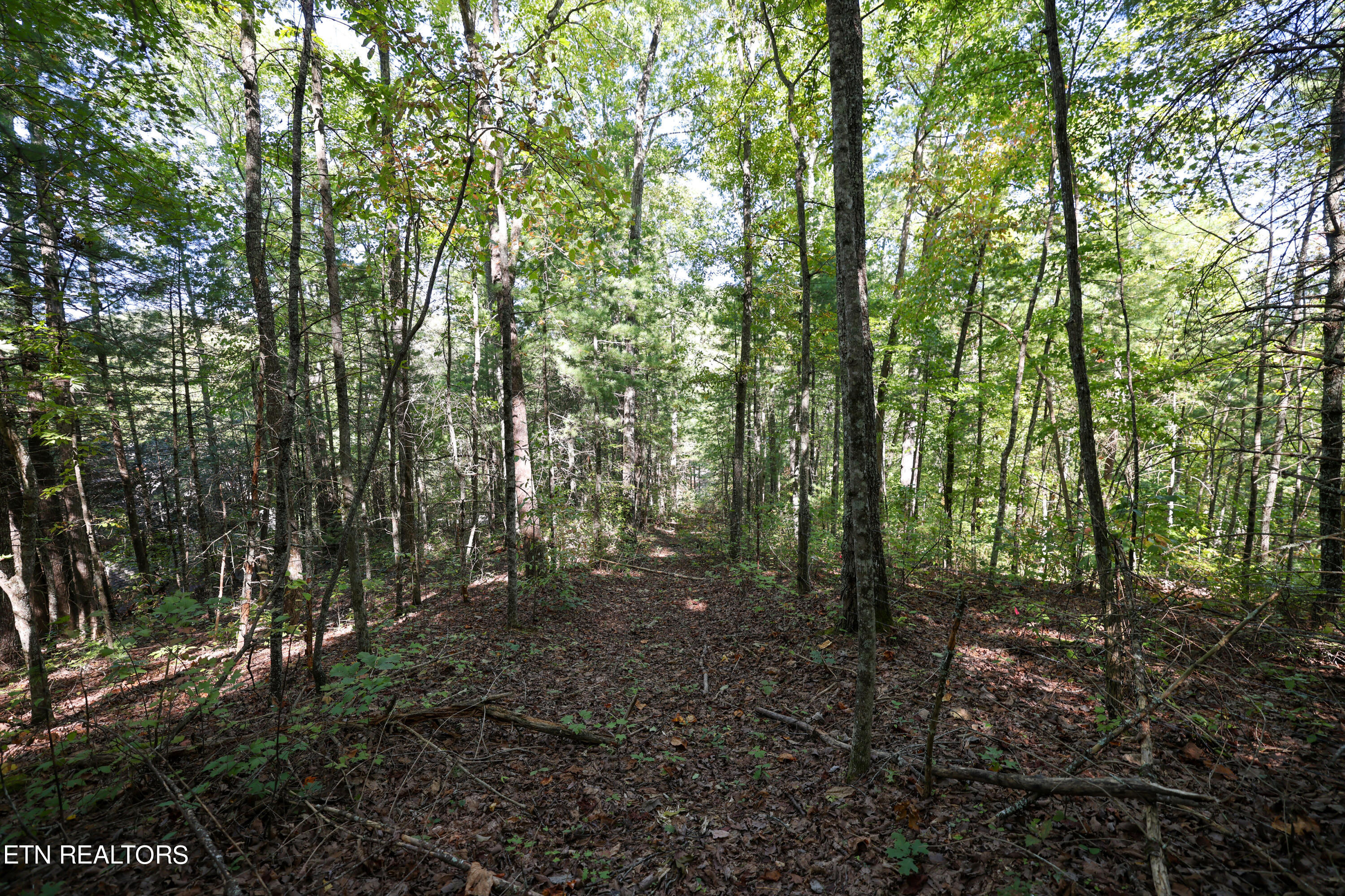 864 Stonegate Way Property Photo 2