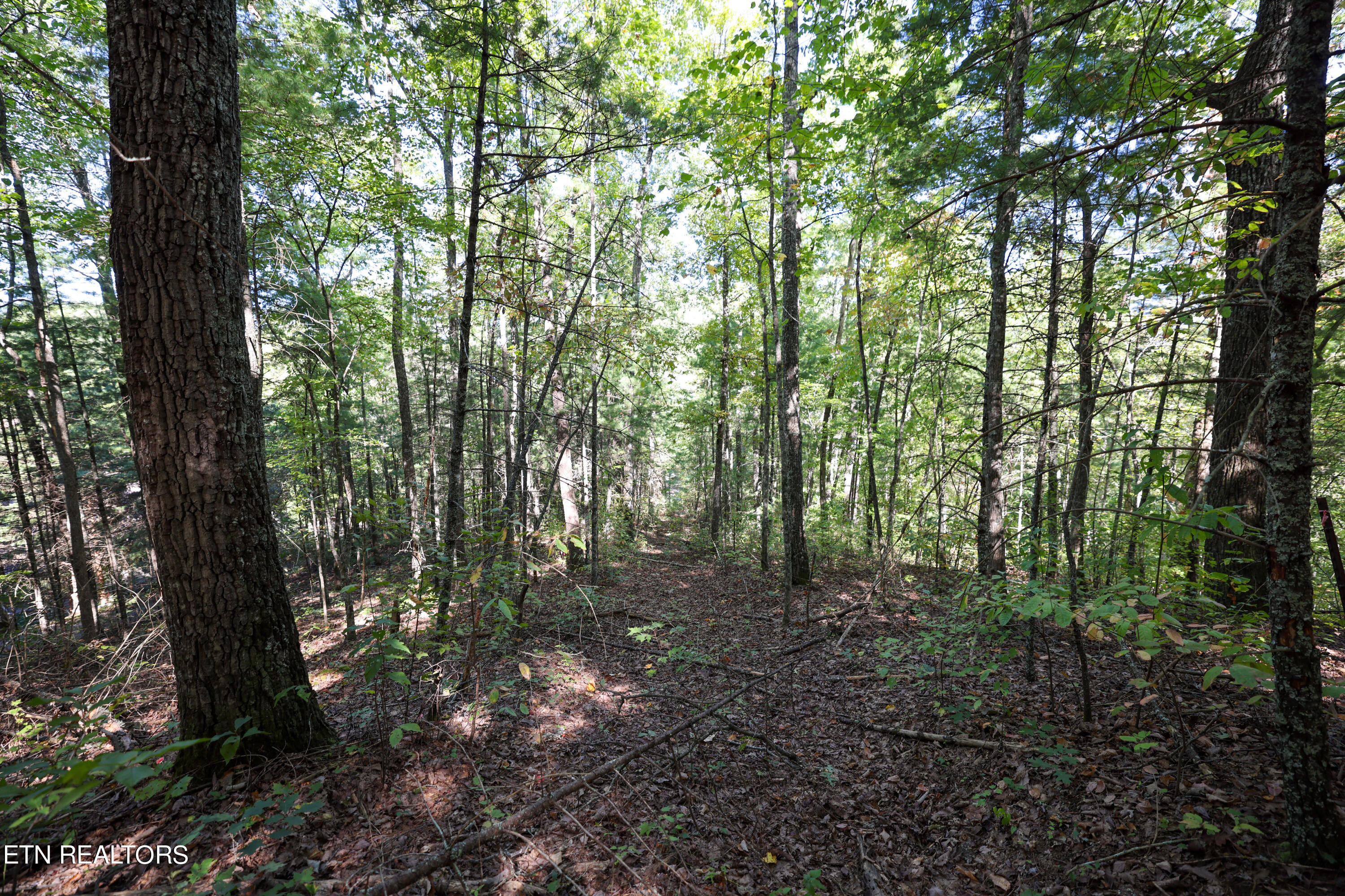 864 Stonegate Way Property Photo 3