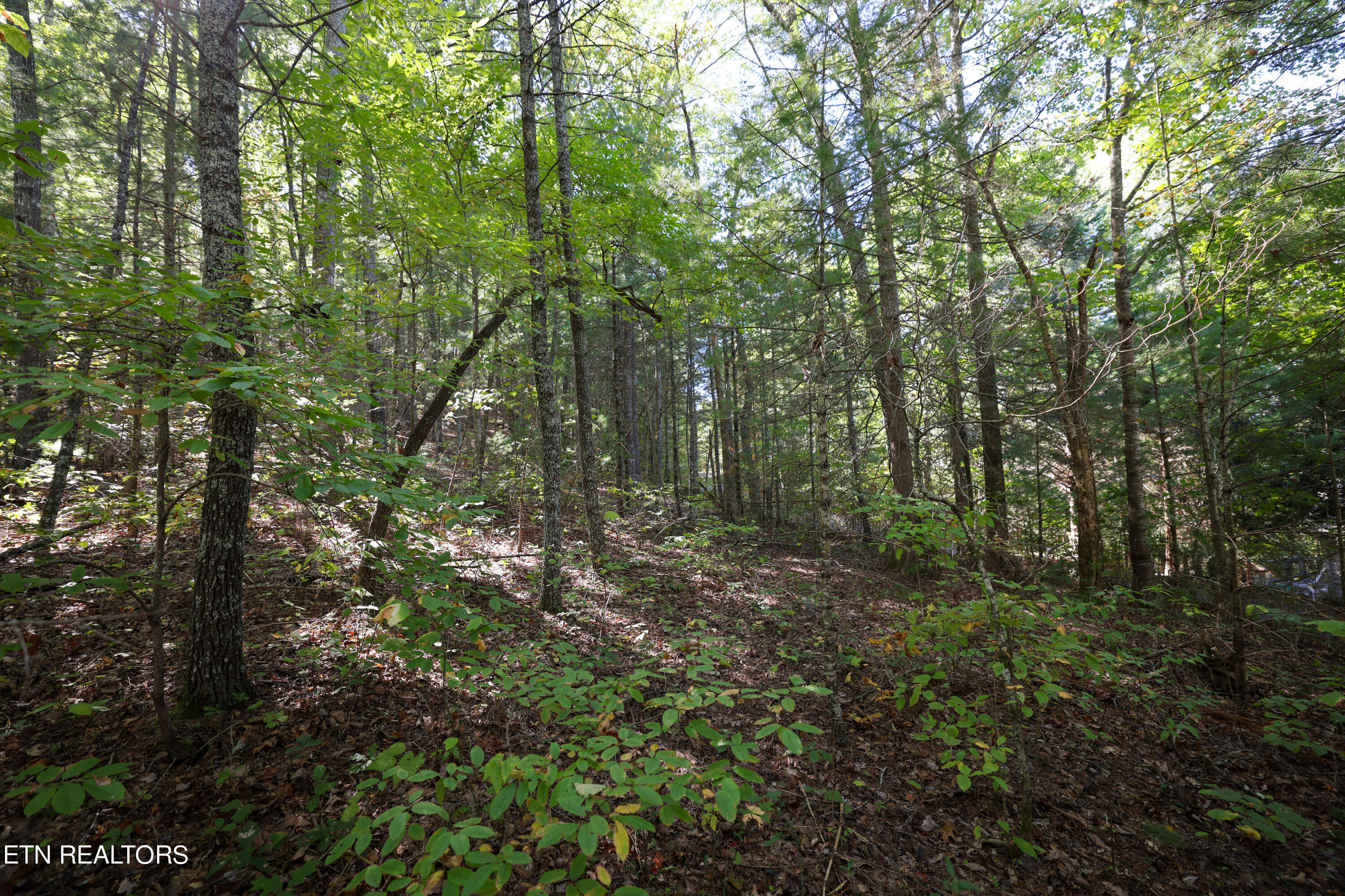 864 Stonegate Way Property Photo 9
