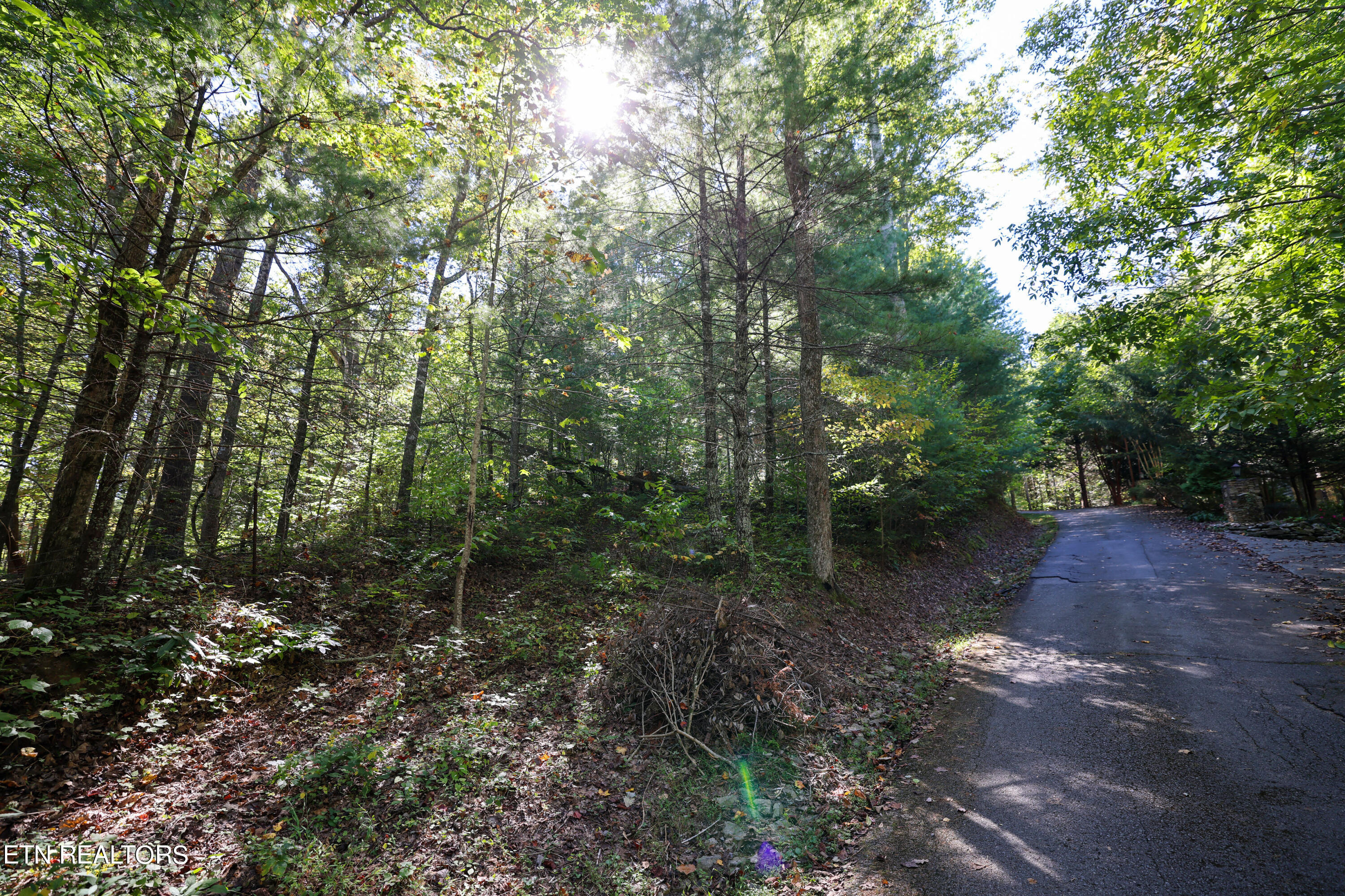 864 Stonegate Way Property Photo 11
