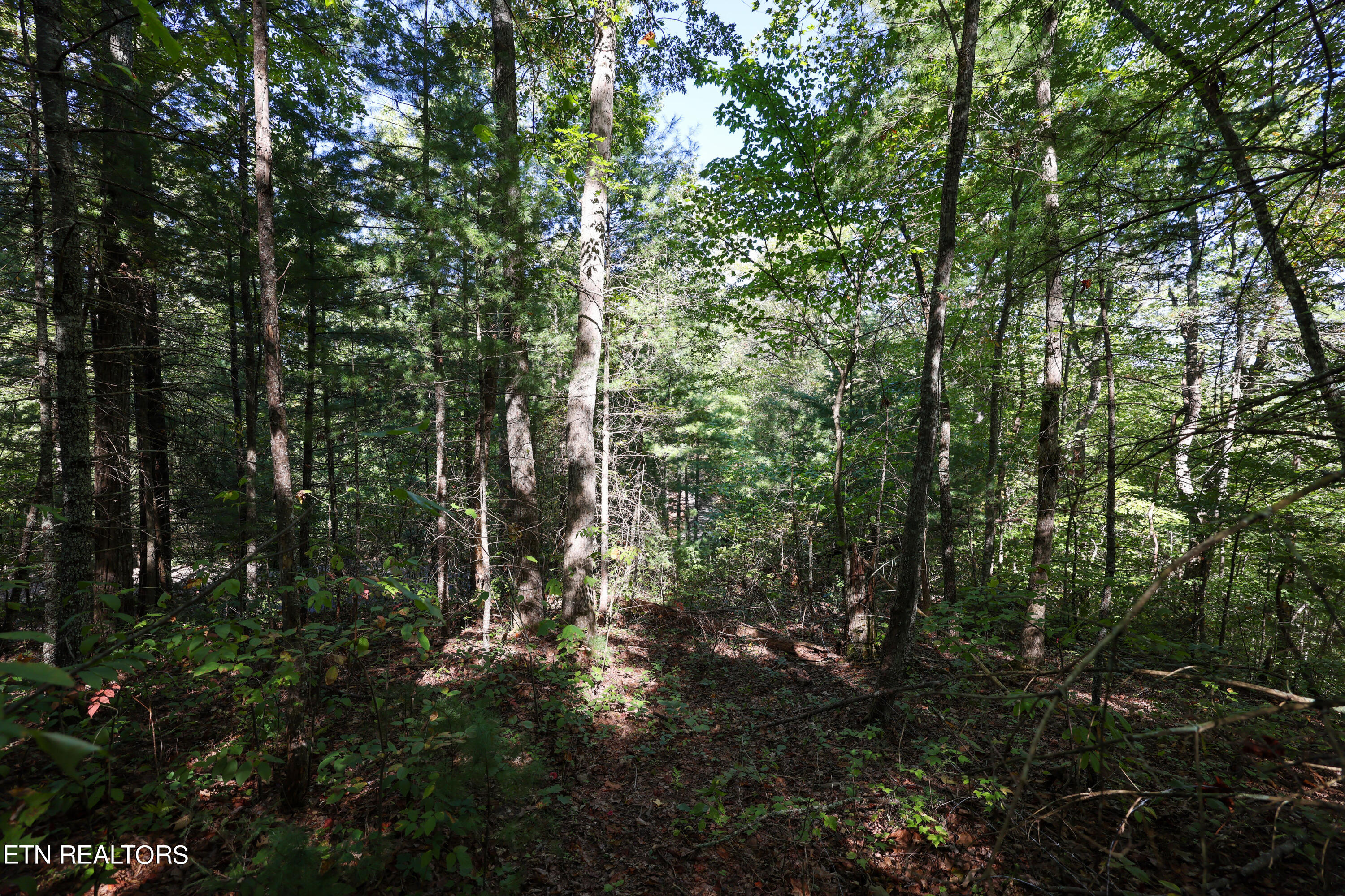 864 Stonegate Way Property Photo 12