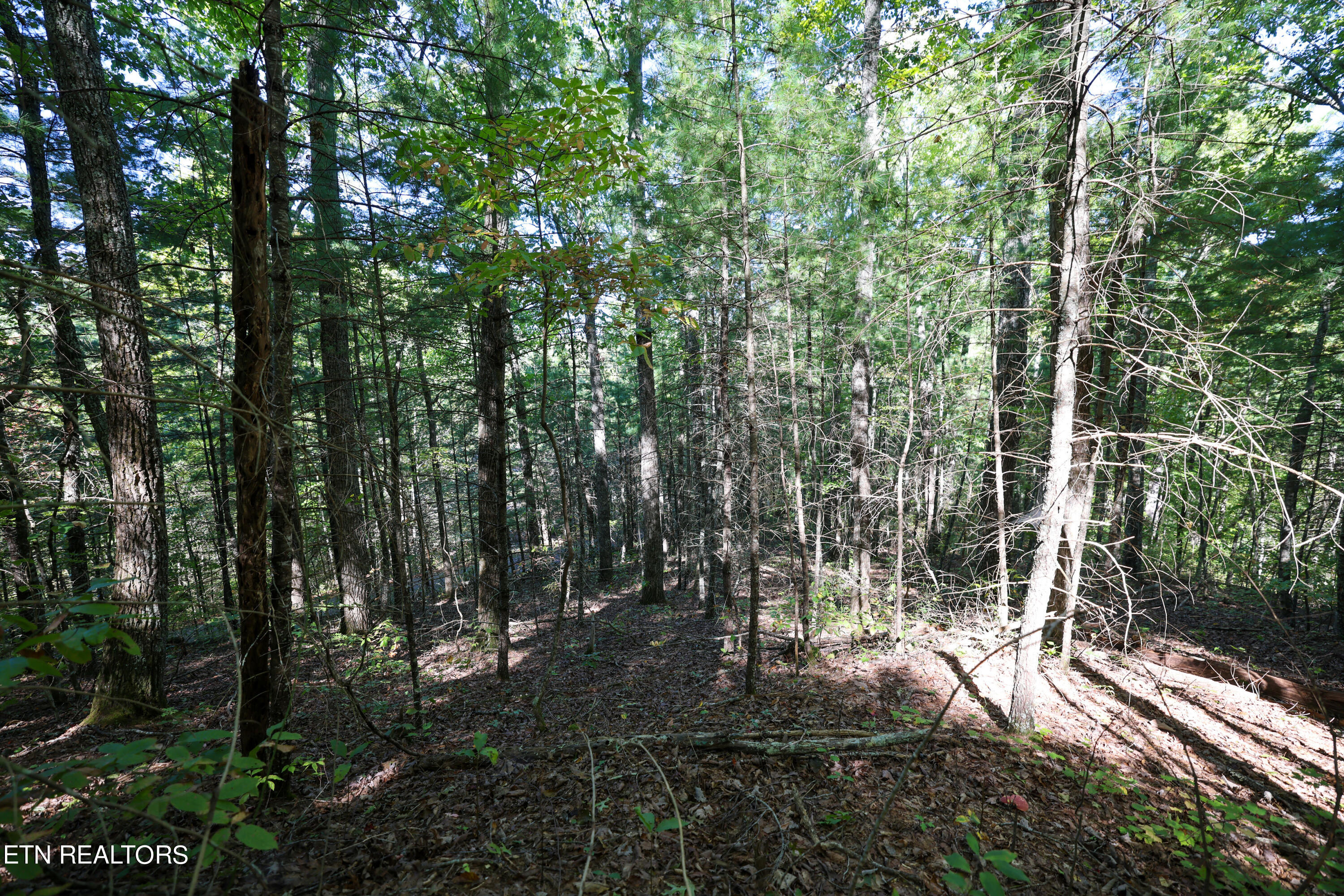 864 Stonegate Way Property Photo 14