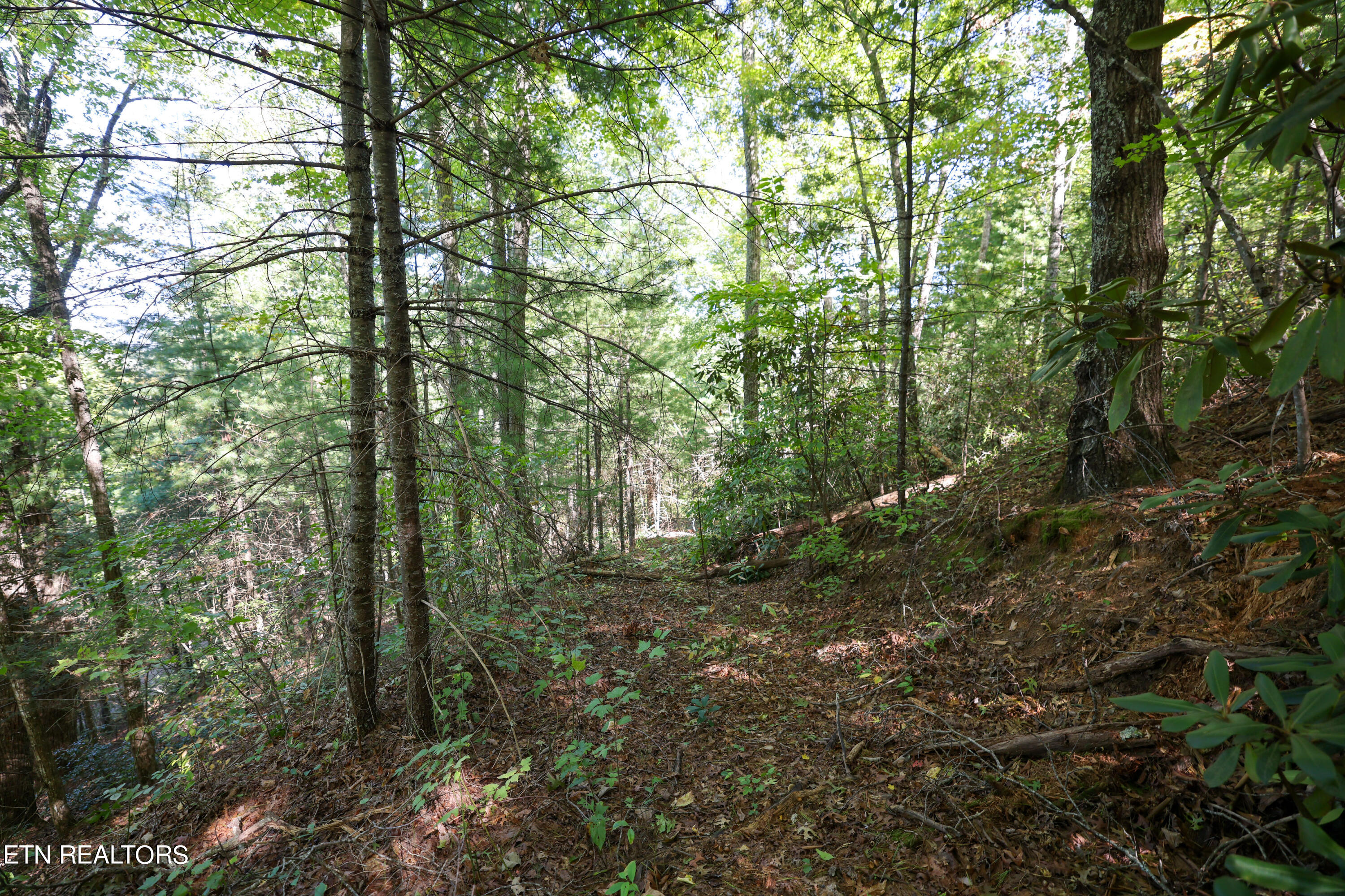 864 Stonegate Way Property Photo 16