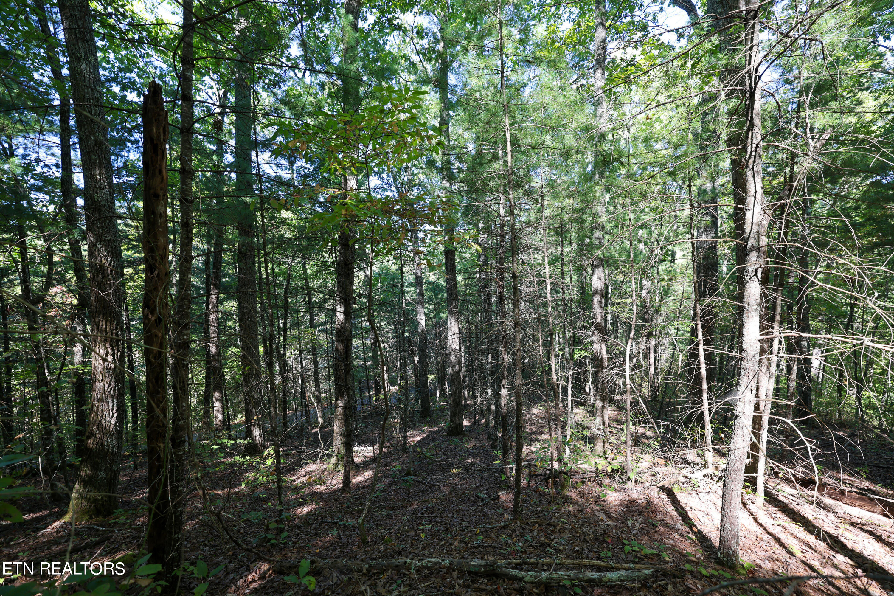 864 Stonegate Way Property Photo 17