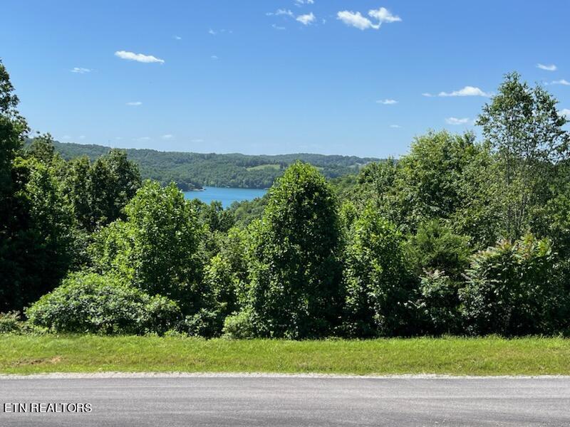 0 Cedar Gate Lane Property Photo 1