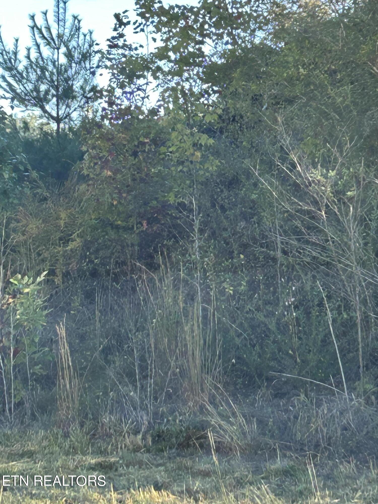 Abby Lane Property Photo 1