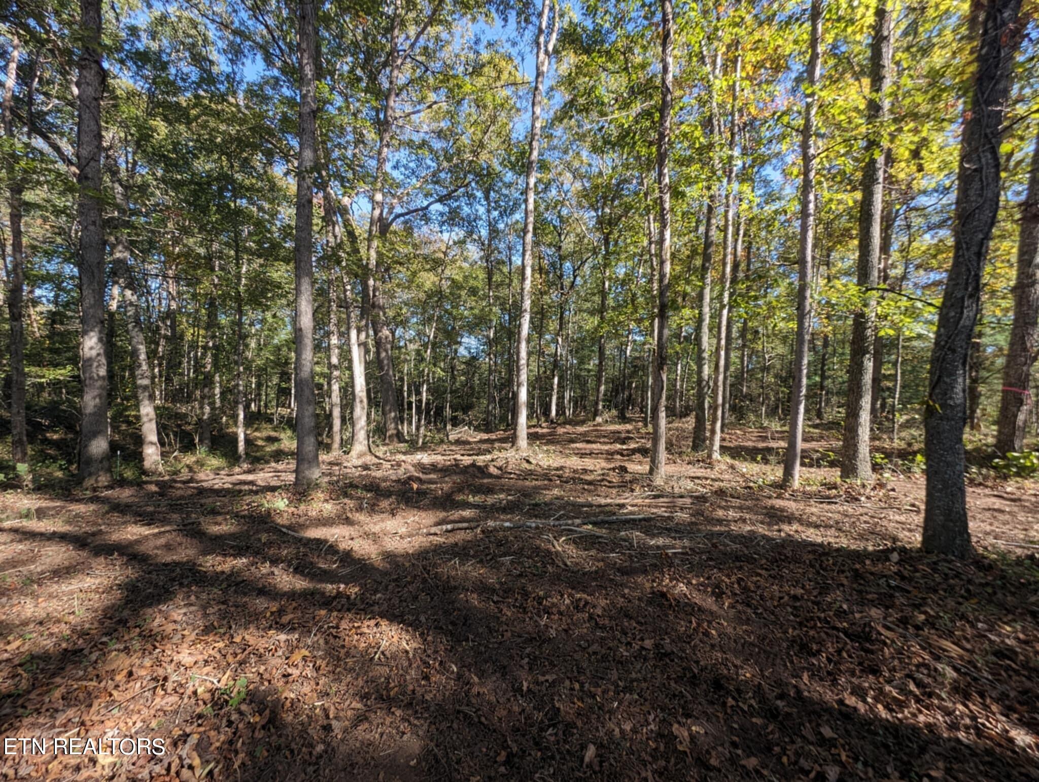 239 Sewell Drive Property Photo 1