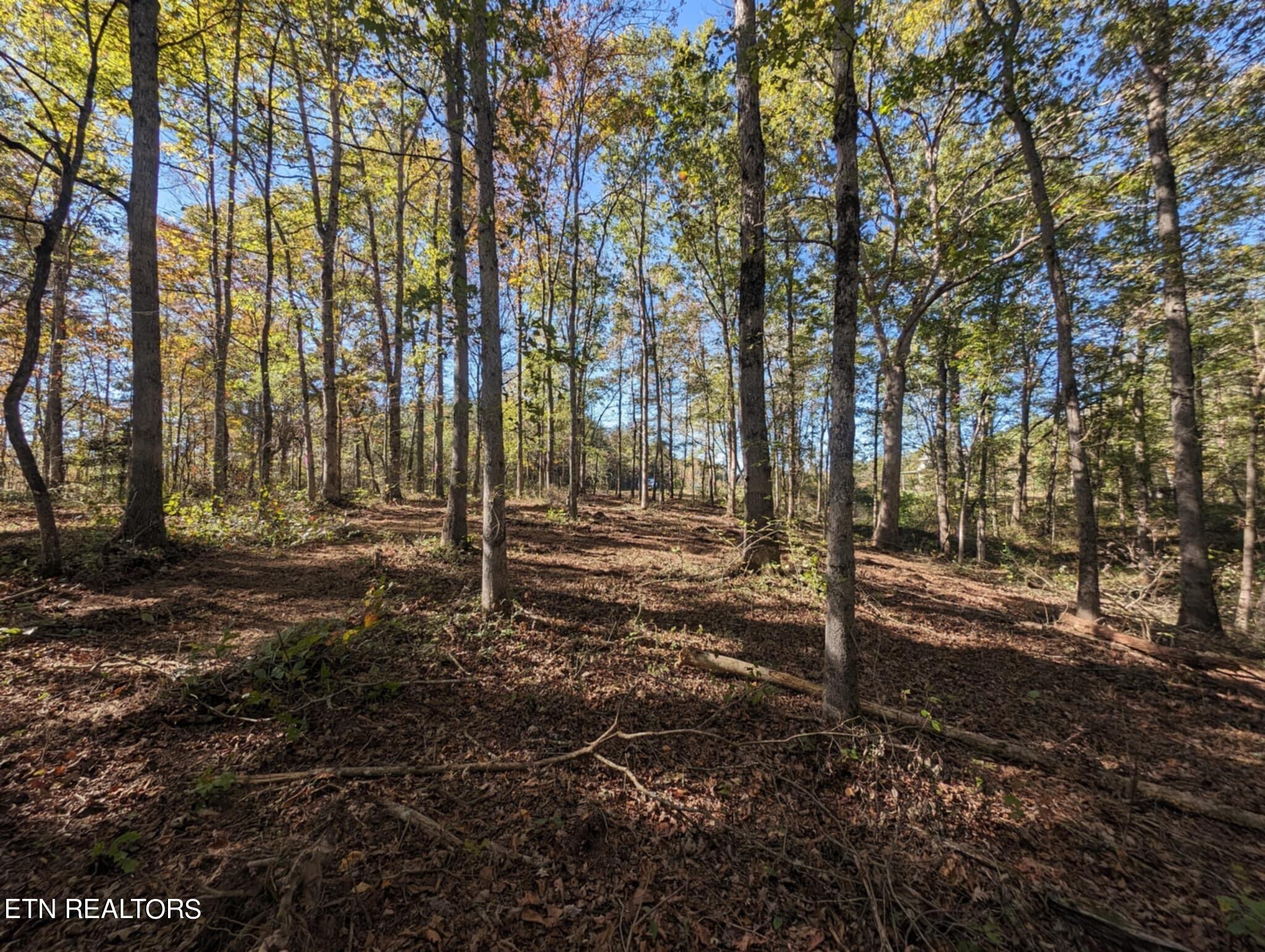 239 Sewell Drive Property Photo 2