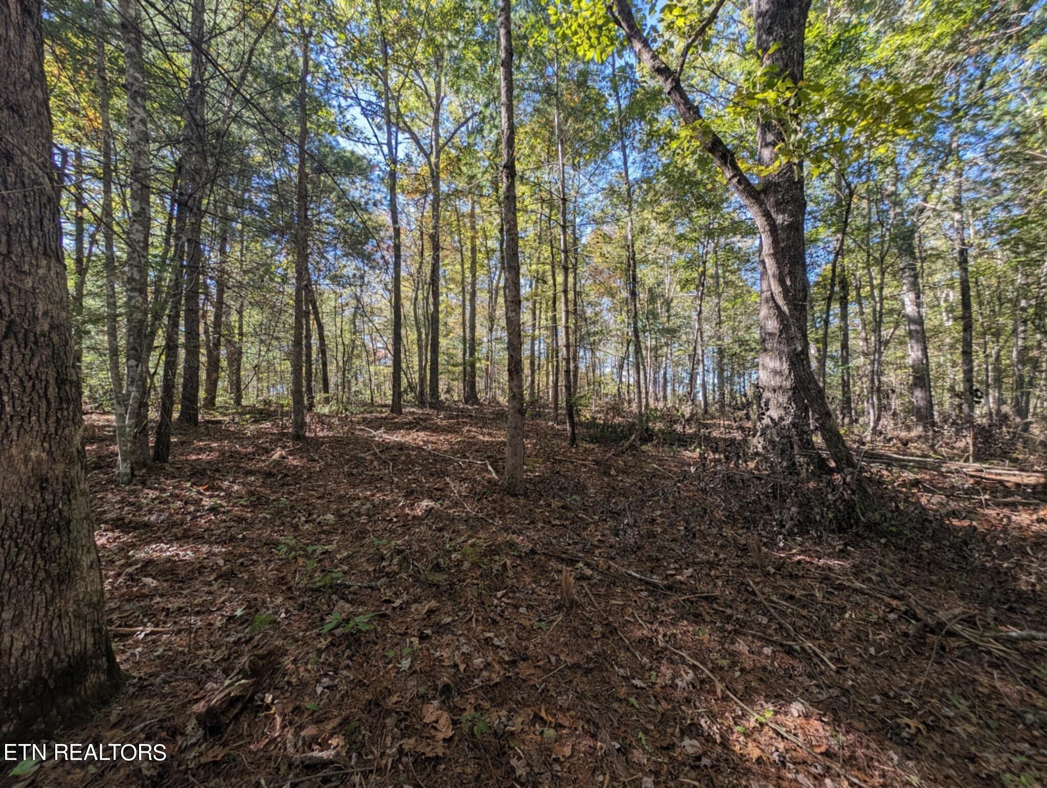 239 Sewell Drive Property Photo 4