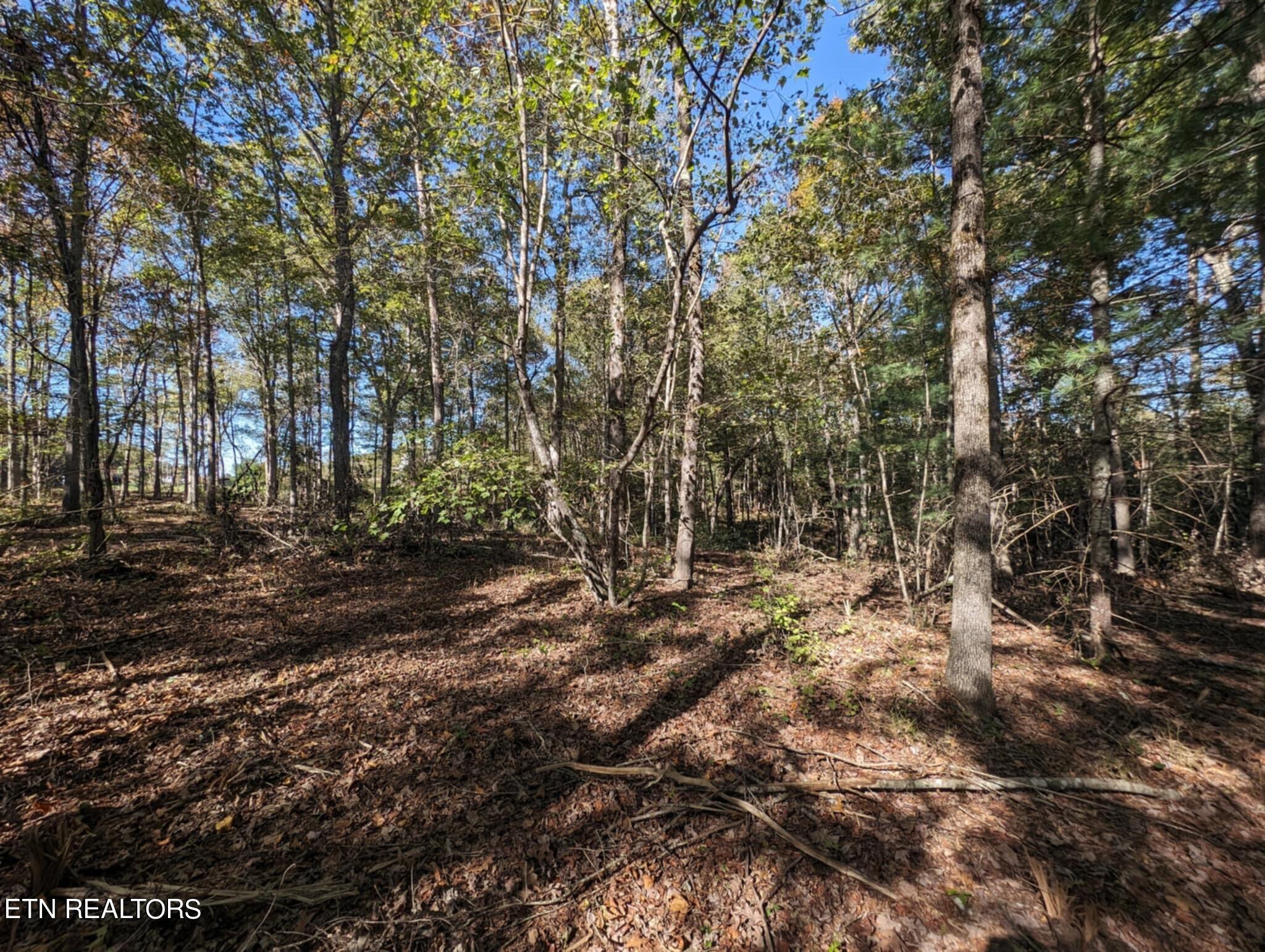 239 Sewell Drive Property Photo 7