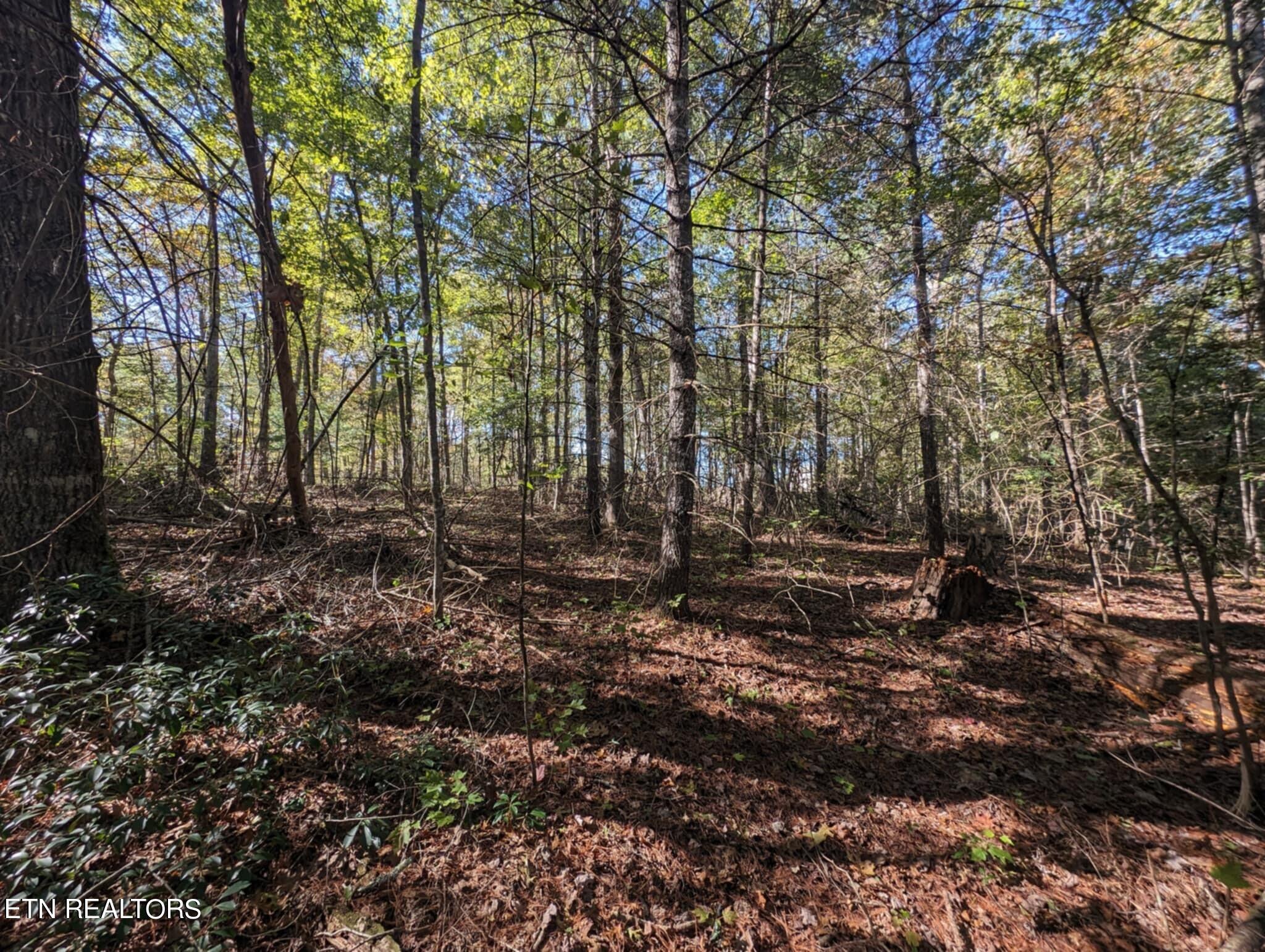 239 Sewell Drive Property Photo 8