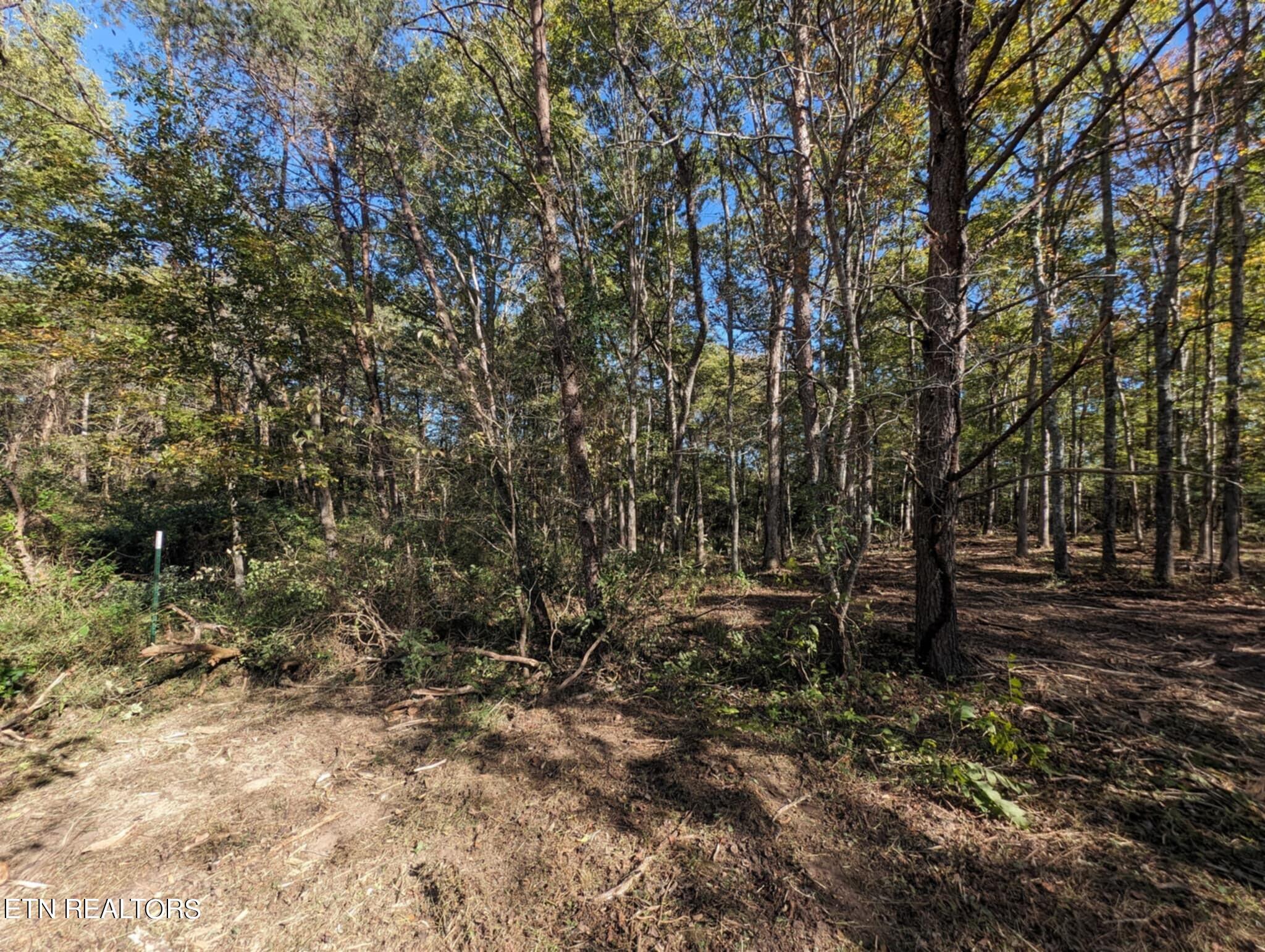 239 Sewell Drive Property Photo 10