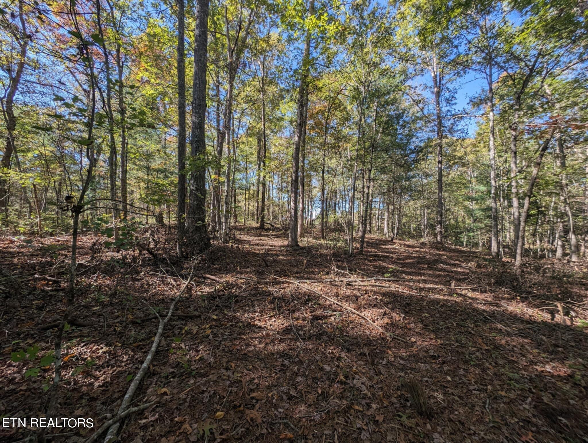 239 Sewell Drive Property Photo 11