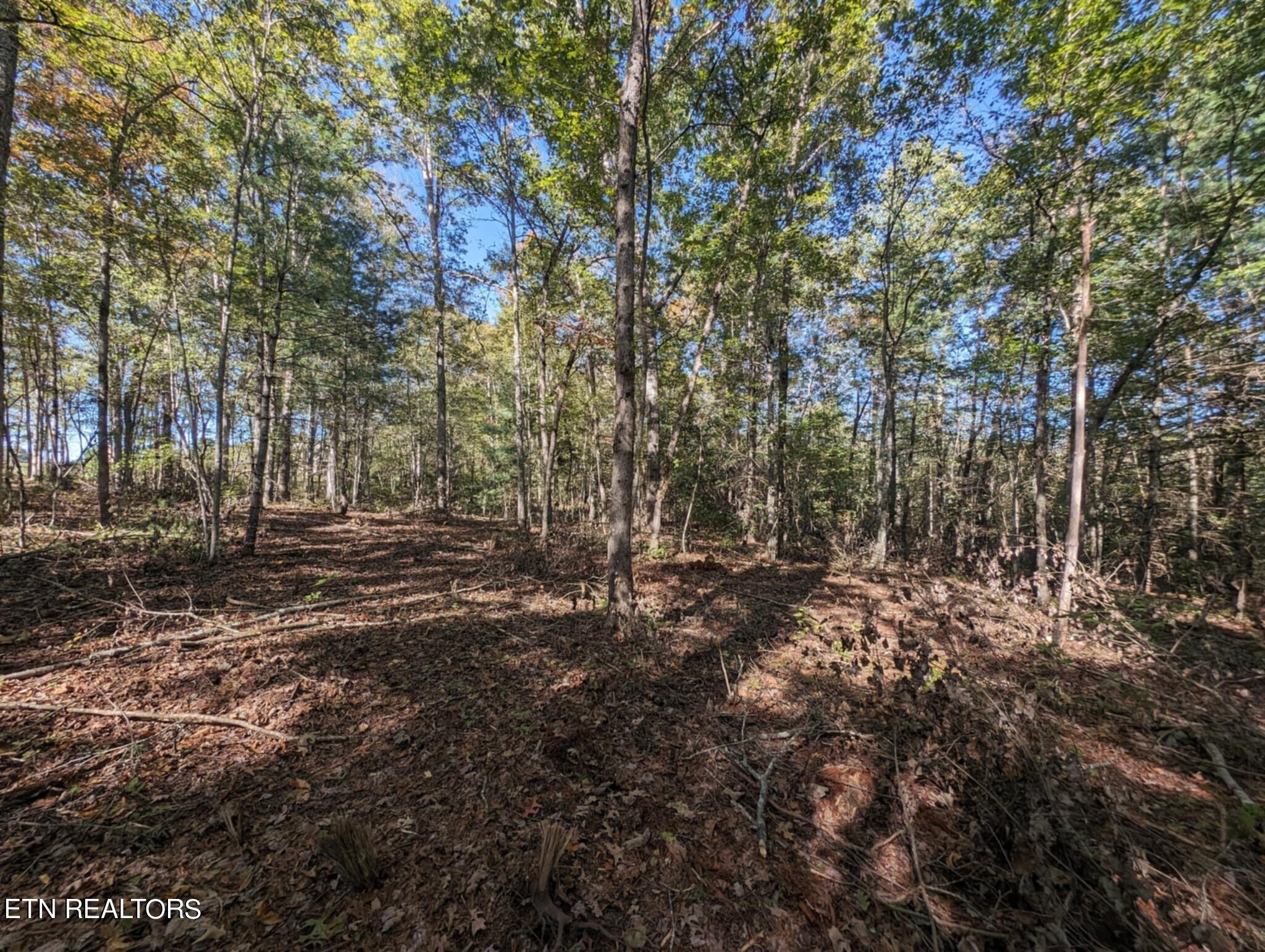 239 Sewell Drive Property Photo 12
