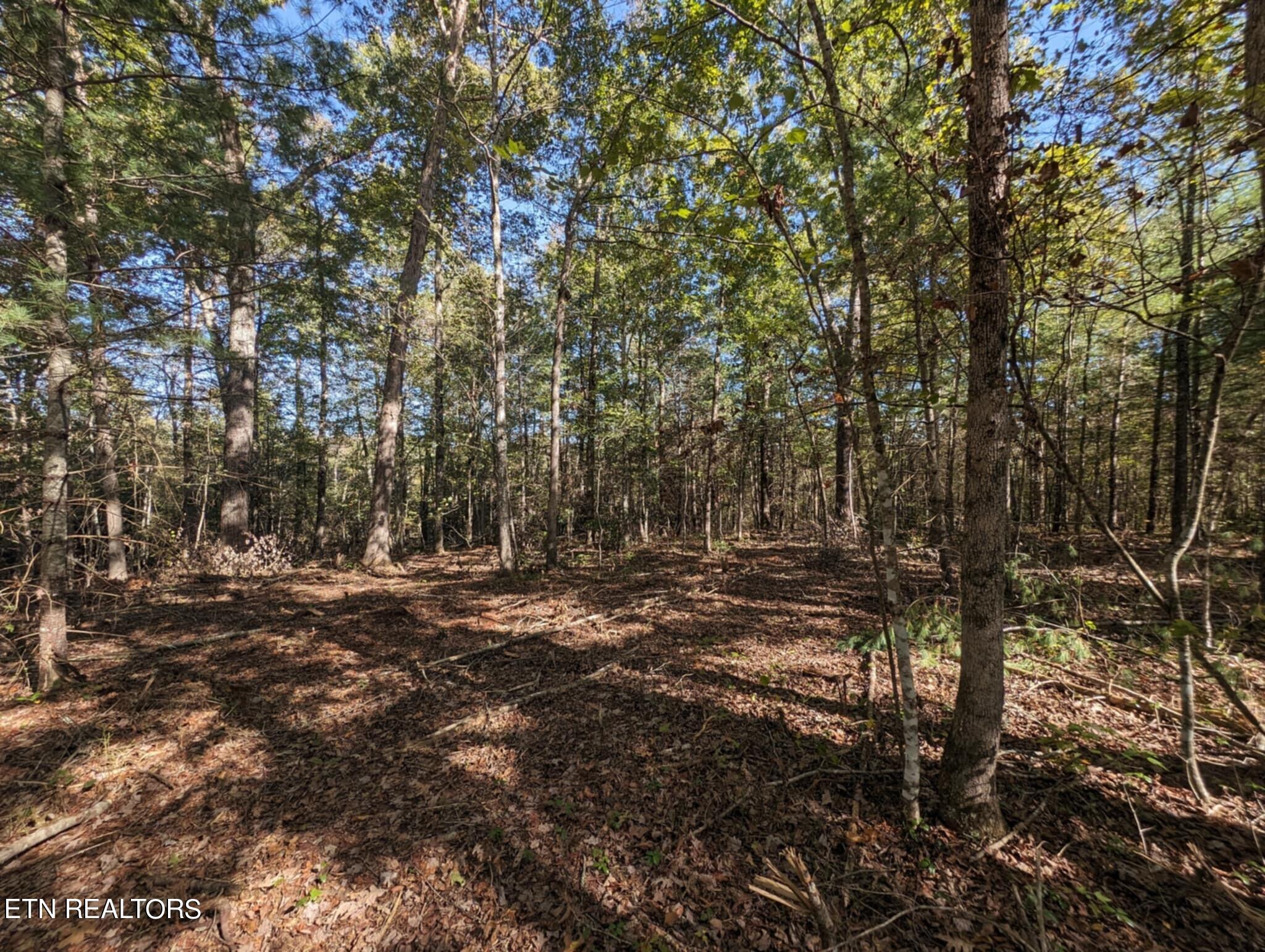 239 Sewell Drive Property Photo 13
