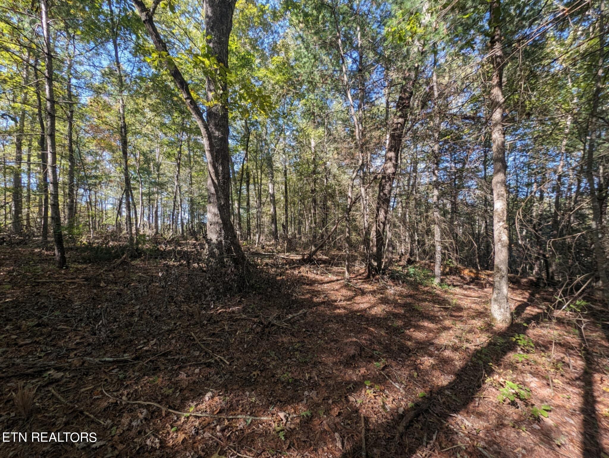 239 Sewell Drive Property Photo 15