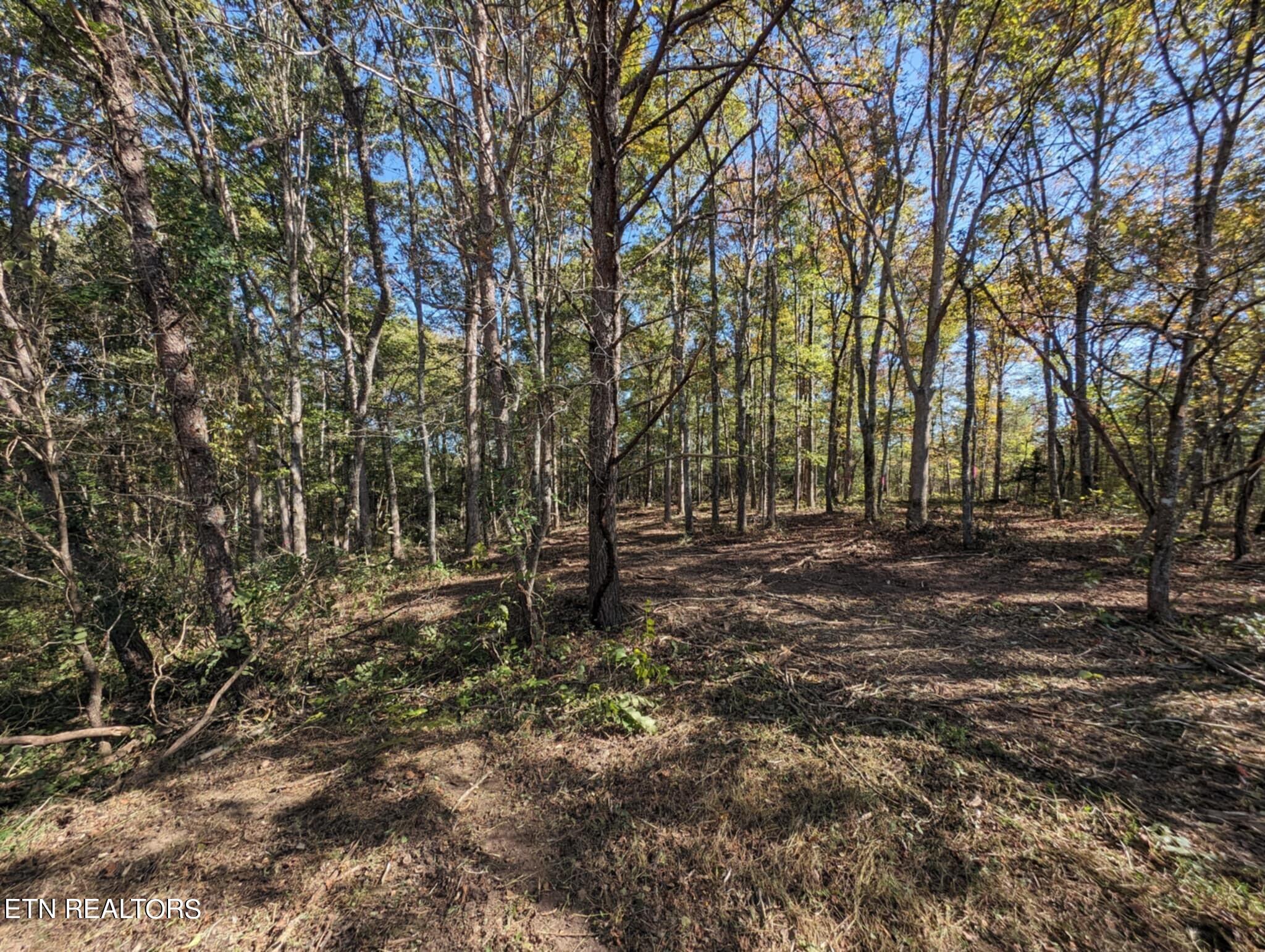 239 Sewell Drive Property Photo 16