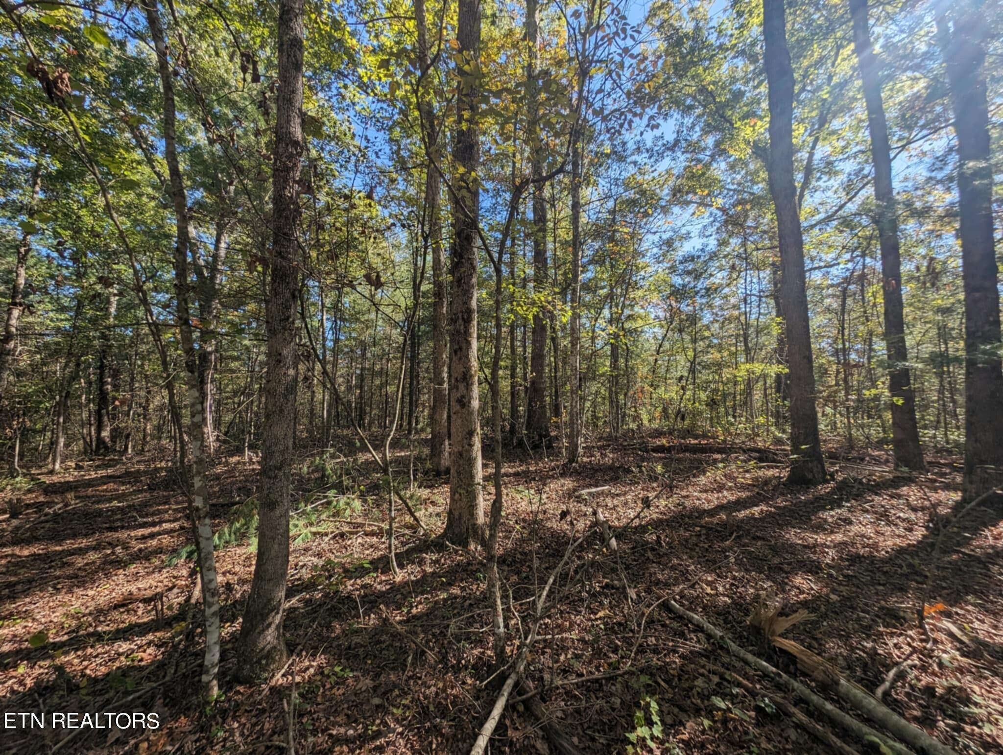 239 Sewell Drive Property Photo 17