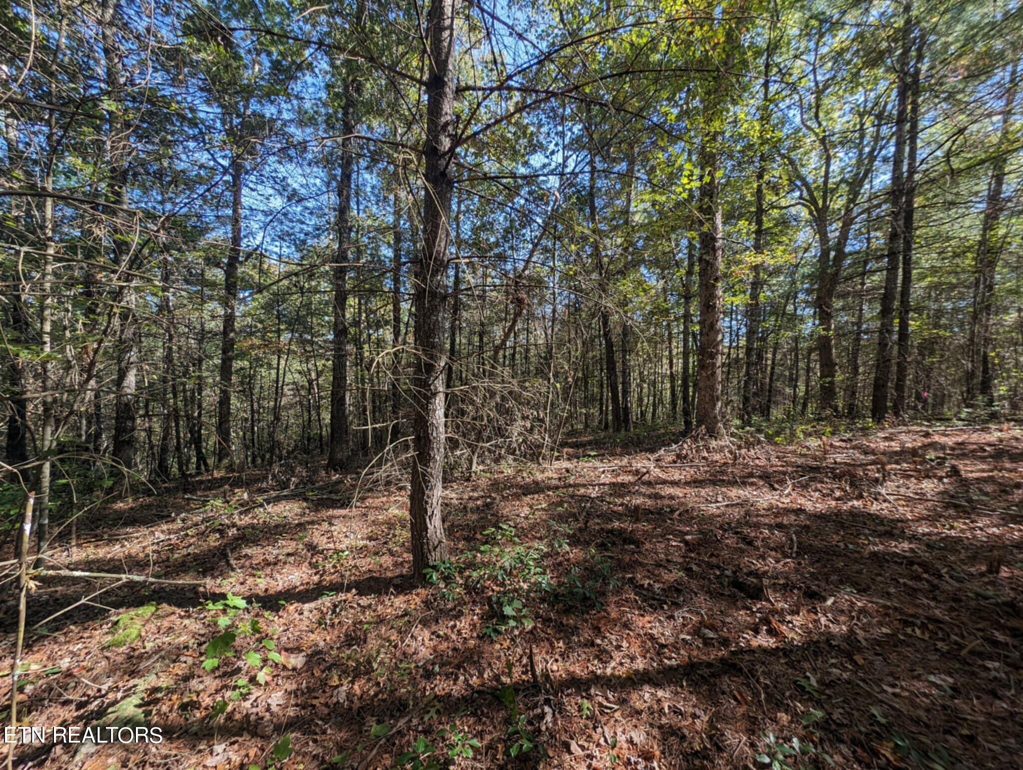 239 Sewell Drive Property Photo 18