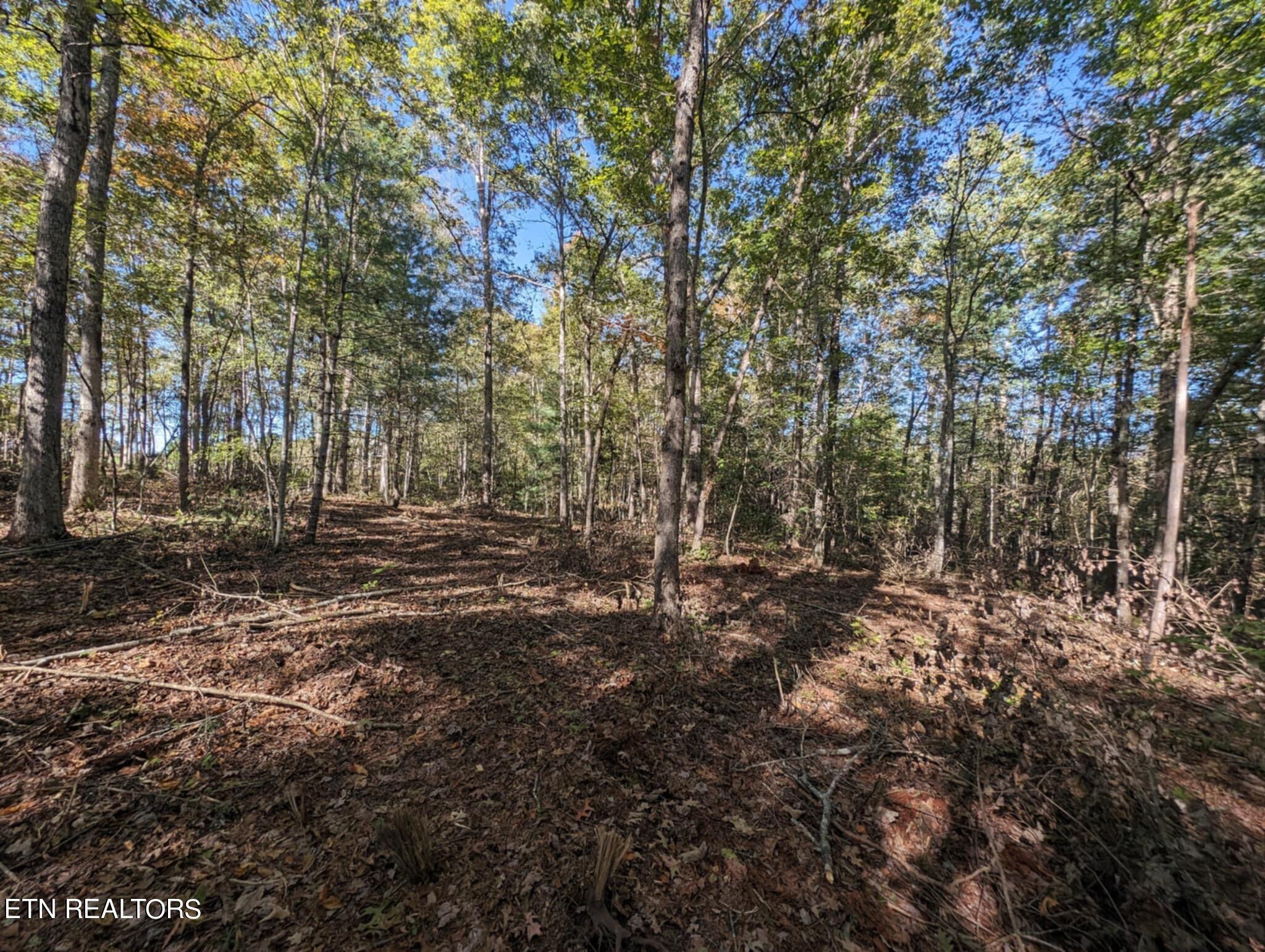239 Sewell Drive Property Photo 19
