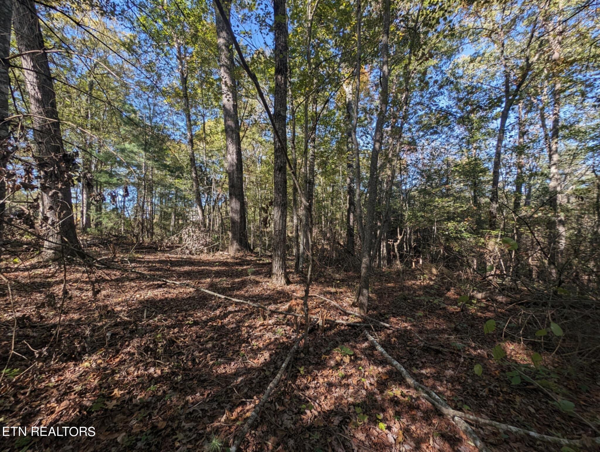 239 Sewell Drive Property Photo 21