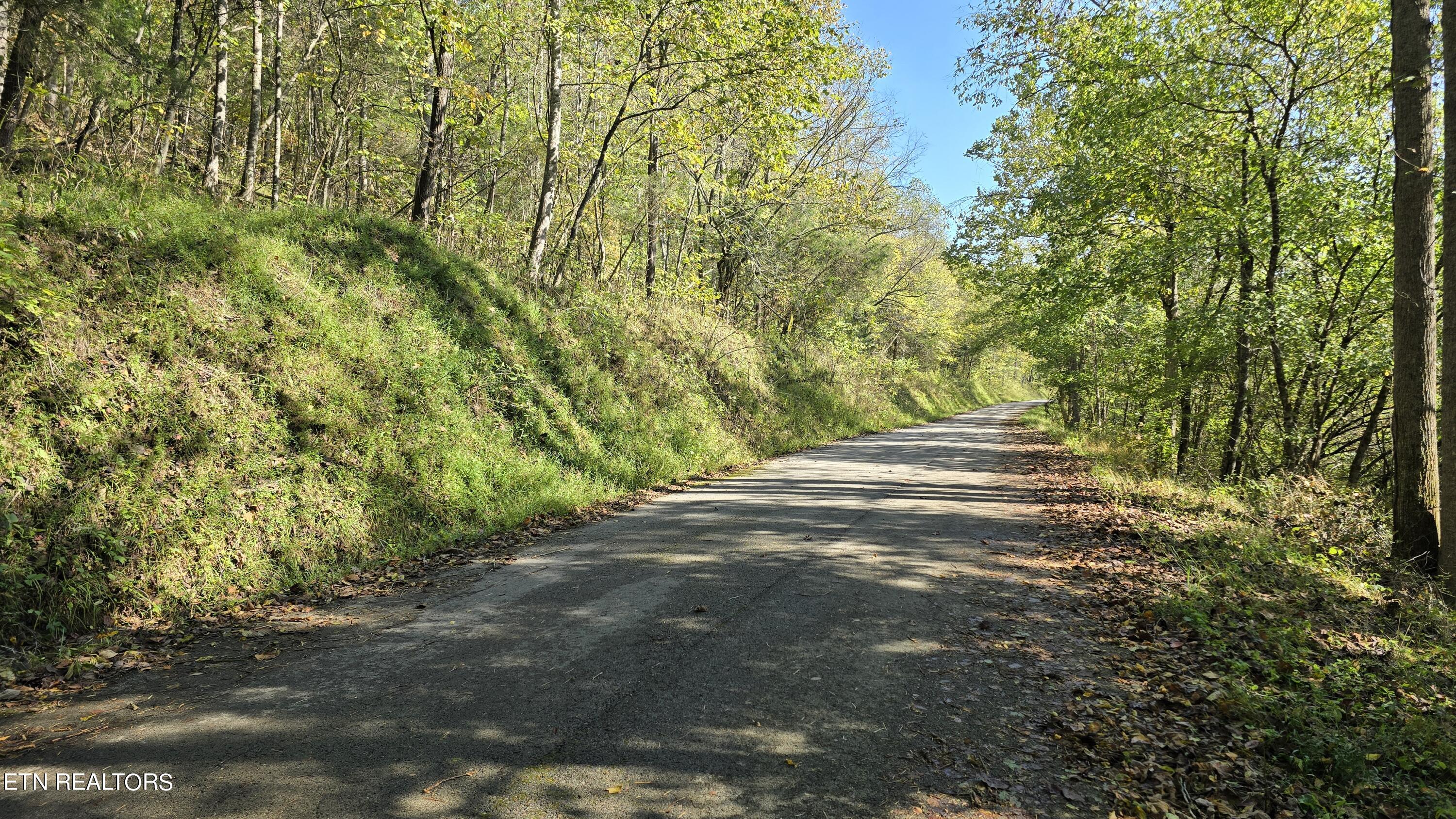 Tbd Lower Wallens Creek Rd Property Photo