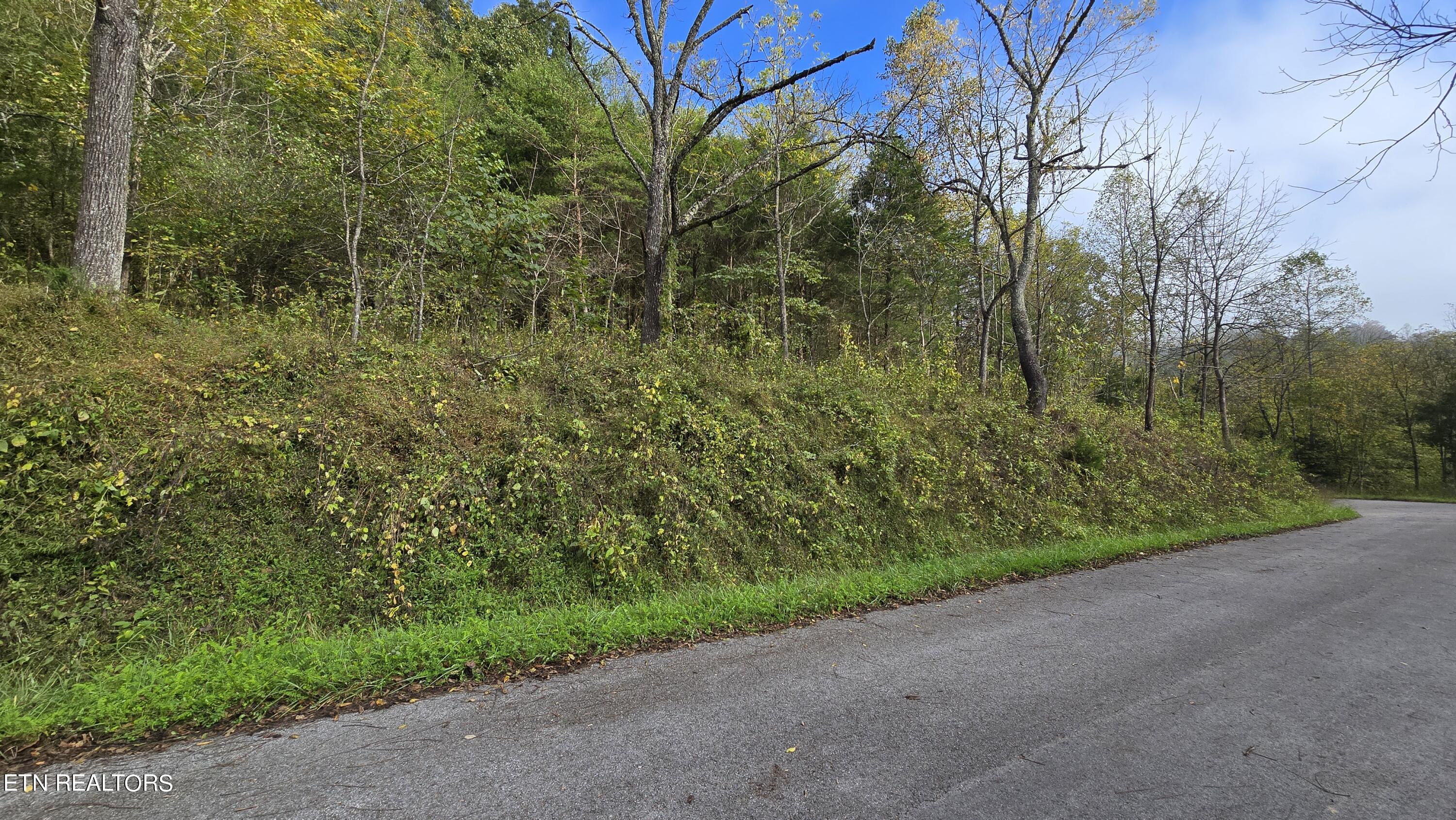 Tbd Lower Wallens Creek Rd Property Photo 3