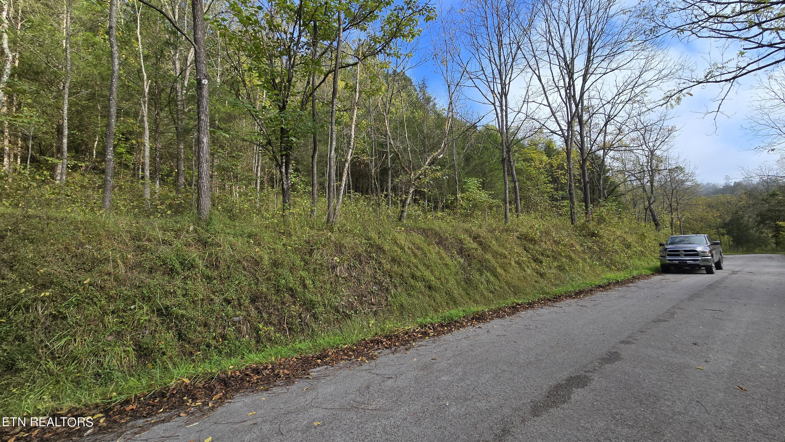 Tbd Lower Wallens Creek Rd Property Photo 4