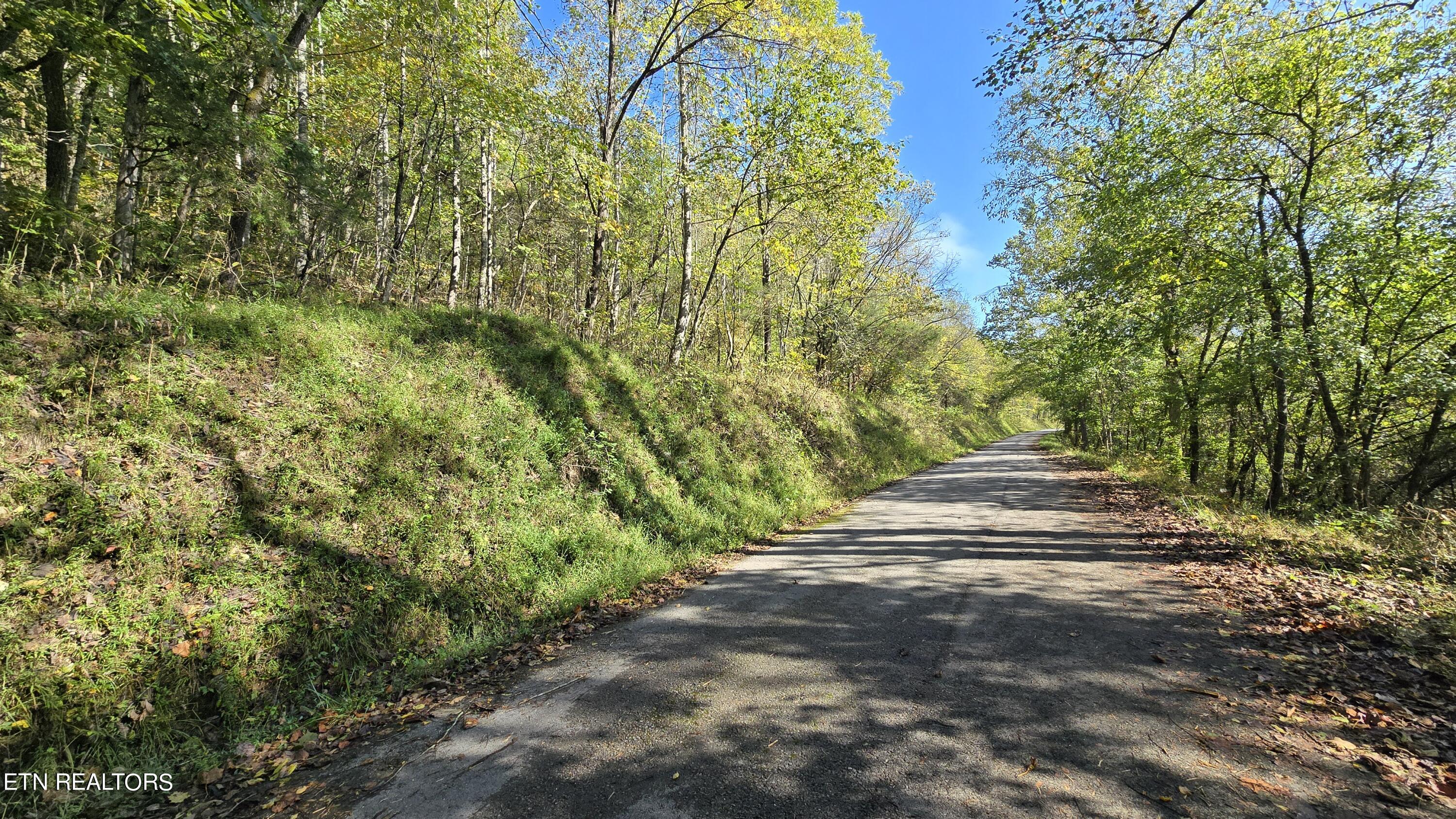 Tbd Lower Wallens Creek Rd Property Photo 5