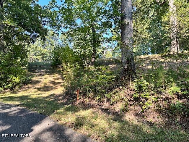 150 Hidden Trace Way (lot 5) Property Photo 8
