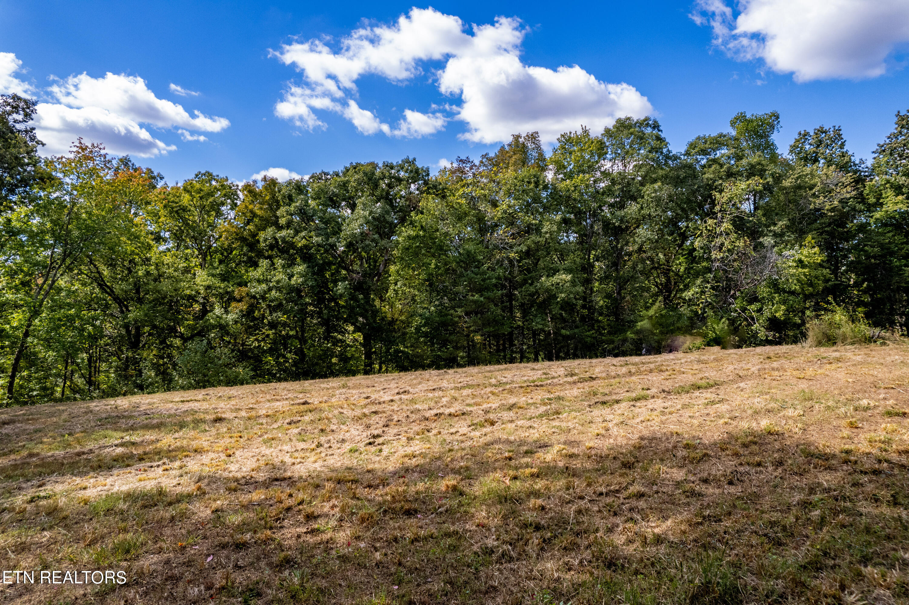 150 Hidden Trace Way (lot 5) Property Photo 11