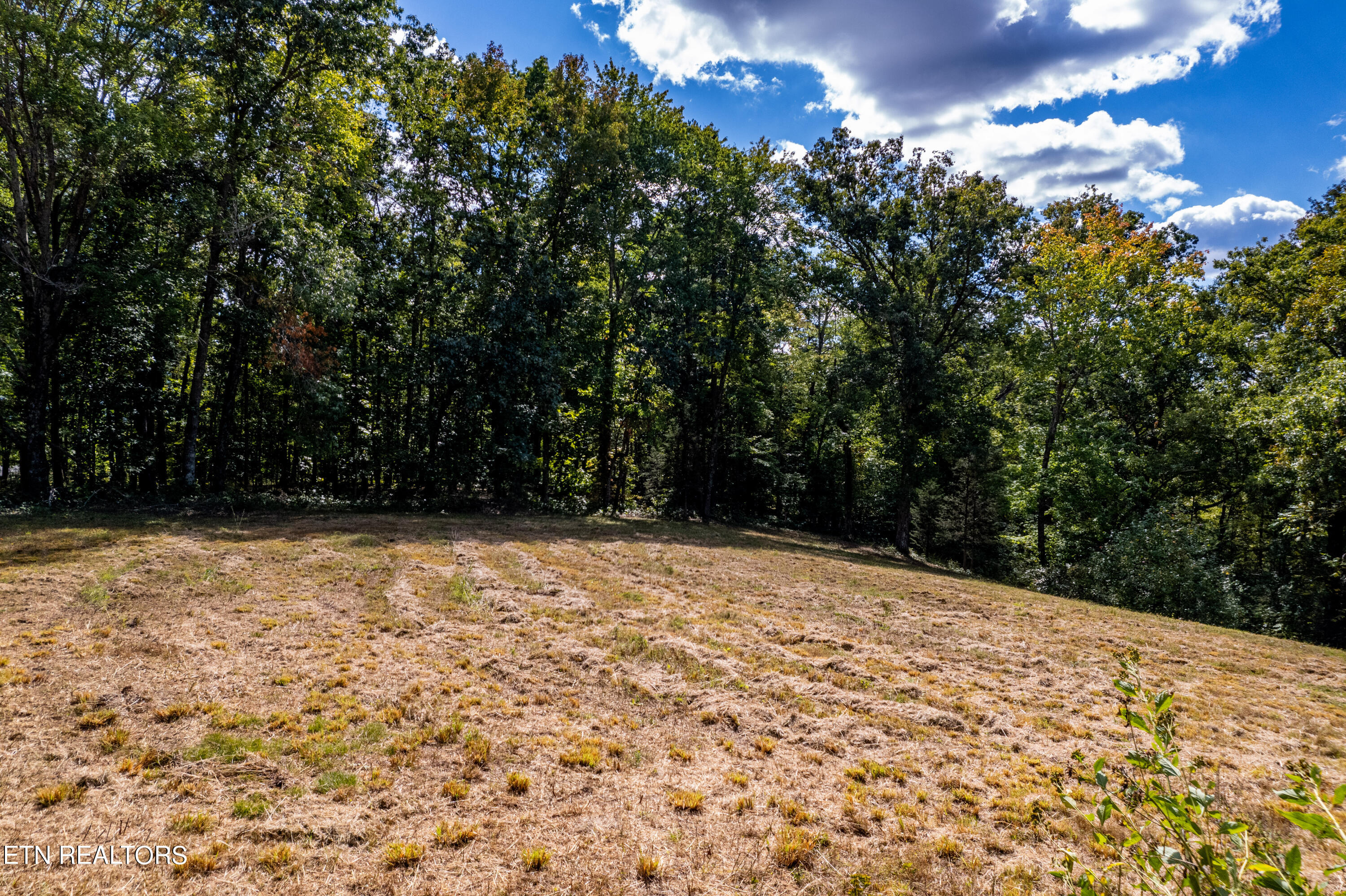 150 Hidden Trace Way (lot 5) Property Photo 12