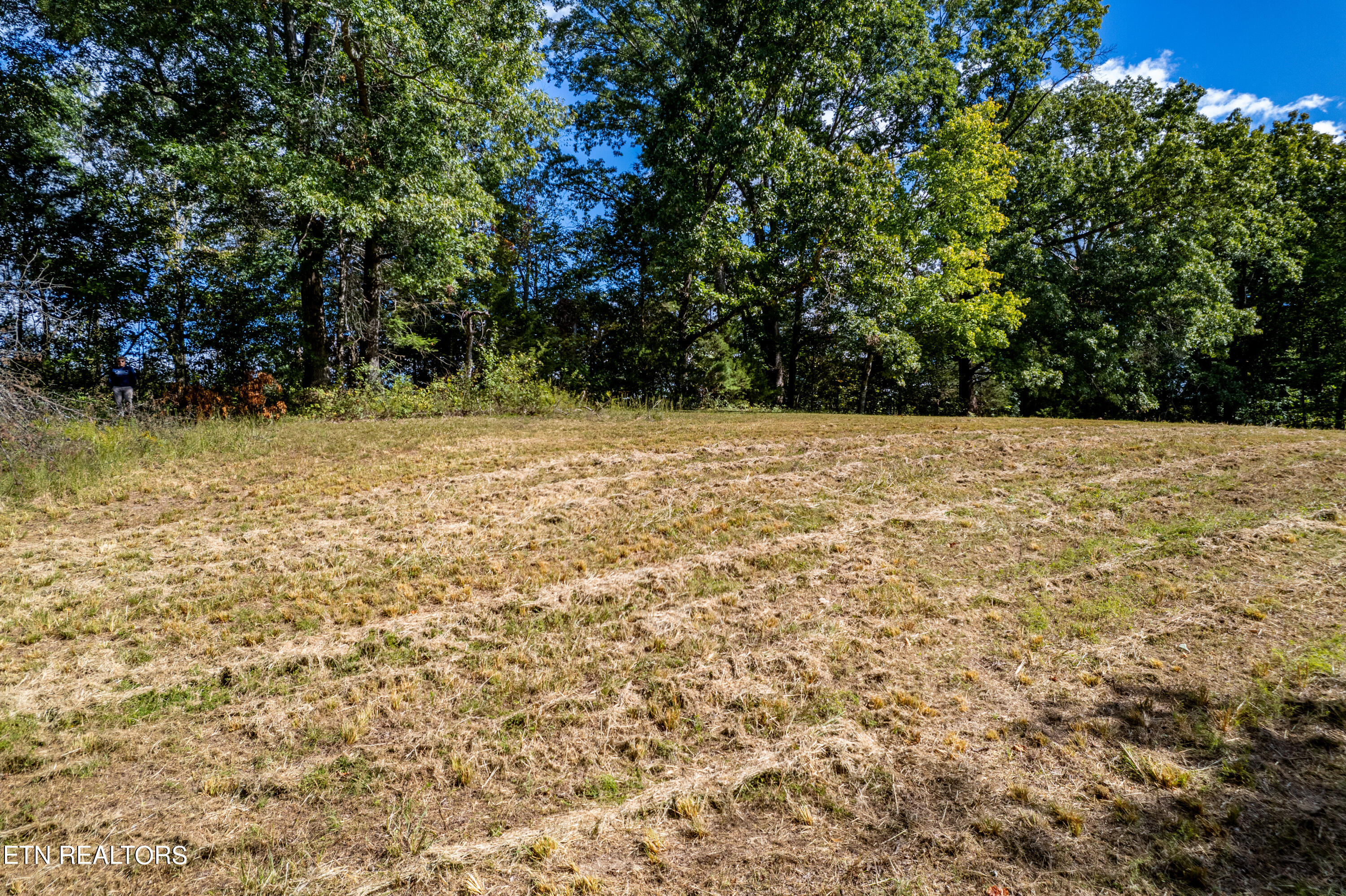 150 Hidden Trace Way (lot 5) Property Photo 13