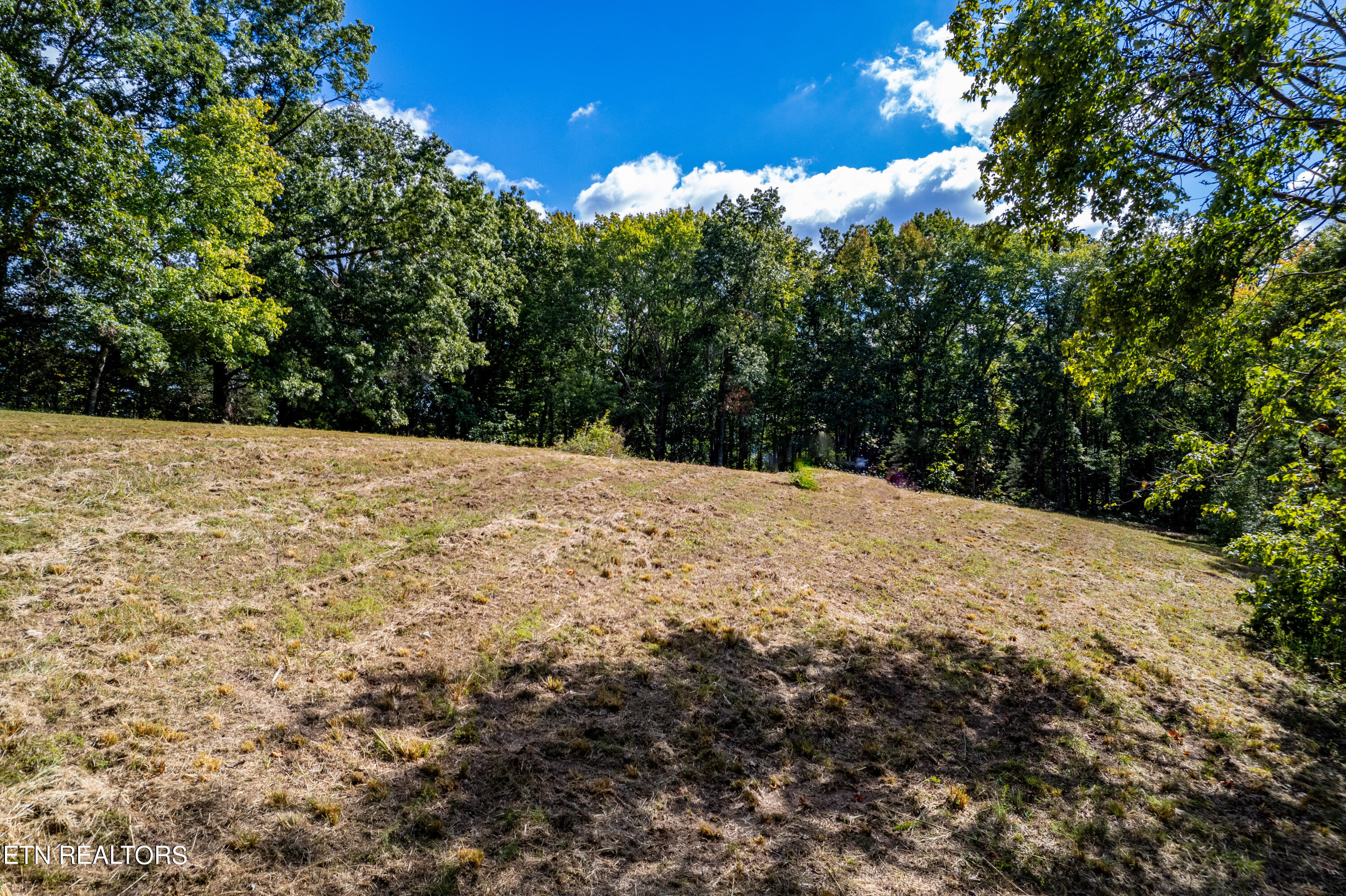 150 Hidden Trace Way (lot 5) Property Photo 14