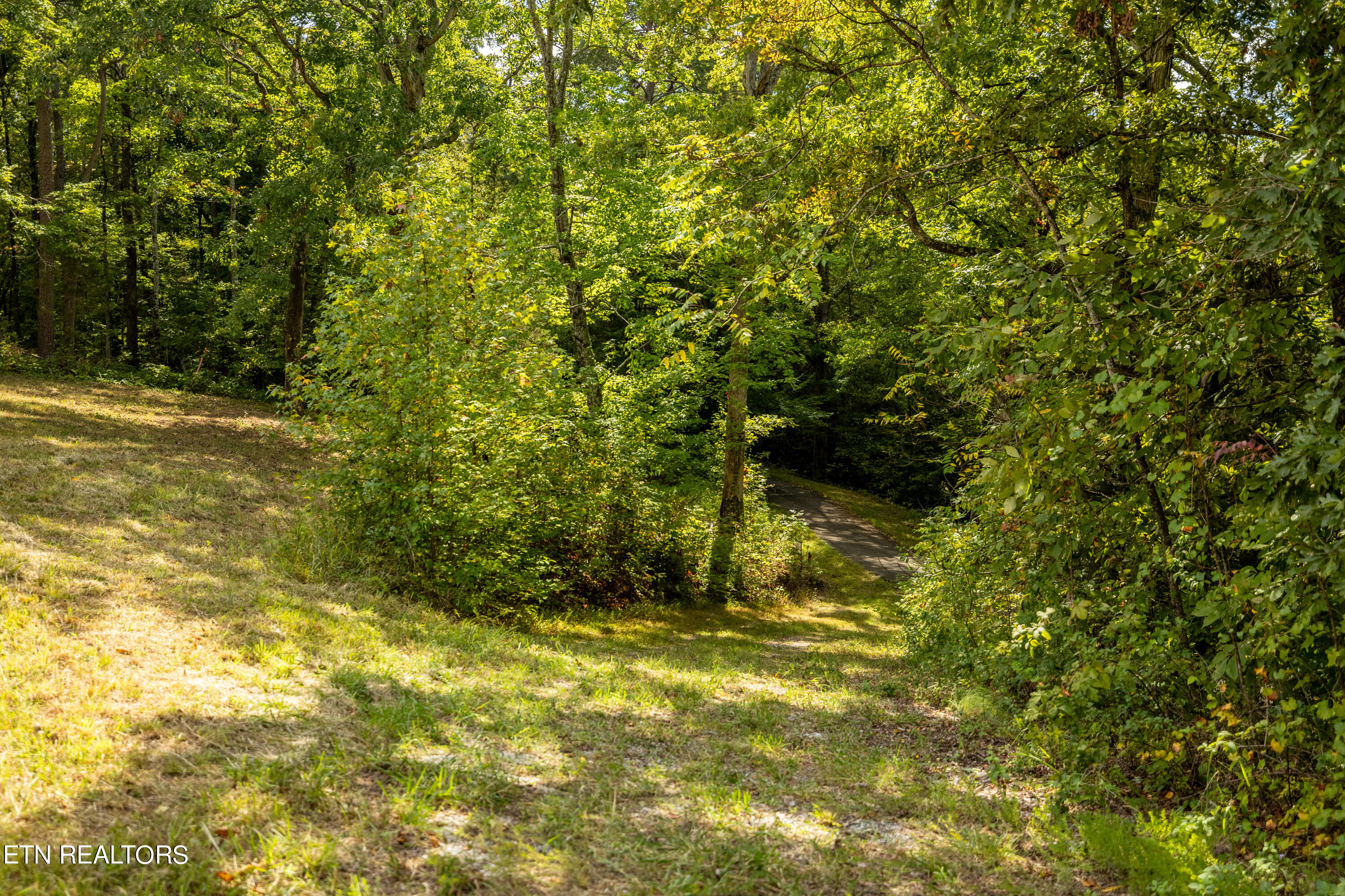 150 Hidden Trace Way (lot 5) Property Photo 22