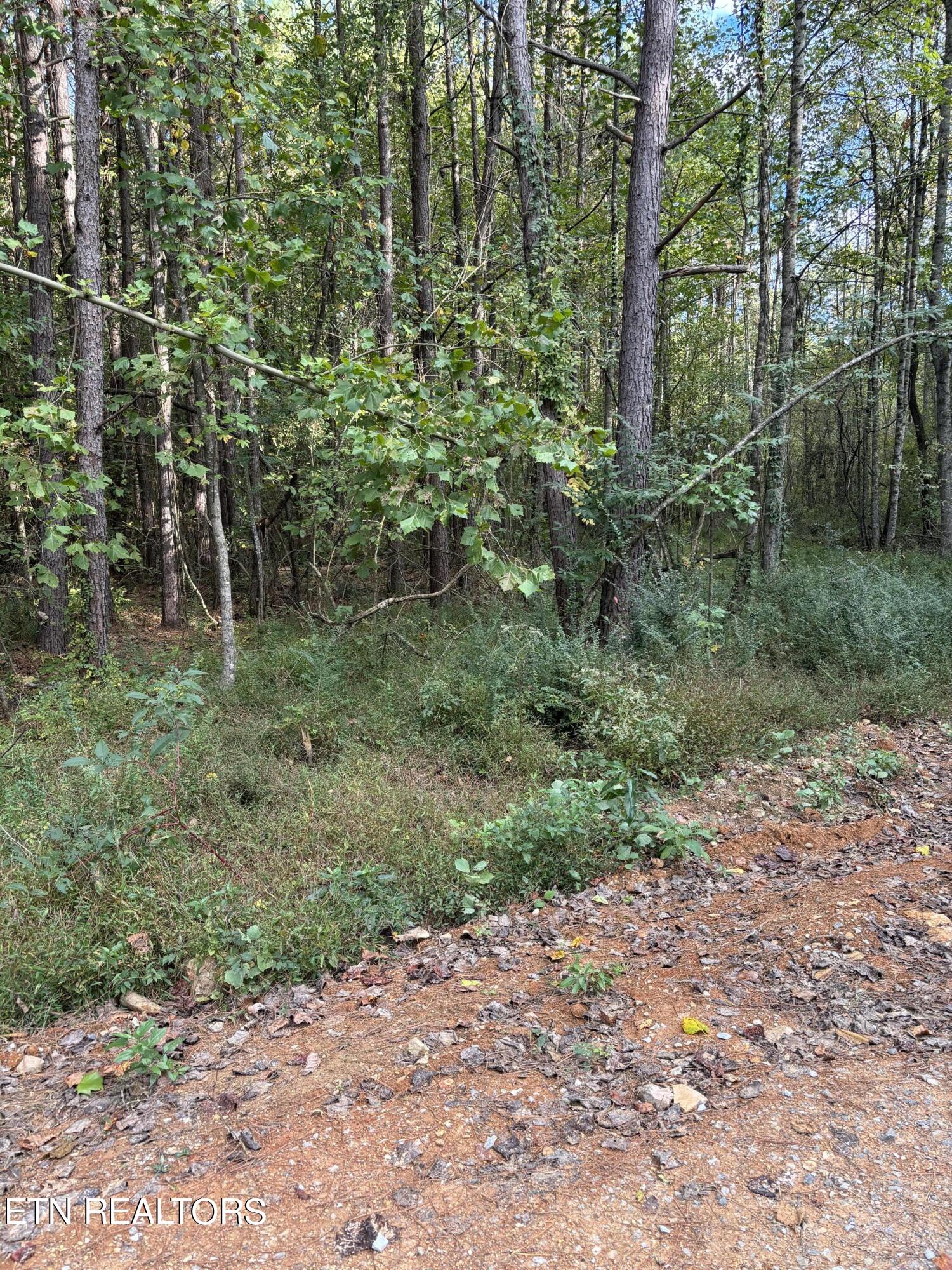 11915 Watkins Road E Property Photo 18