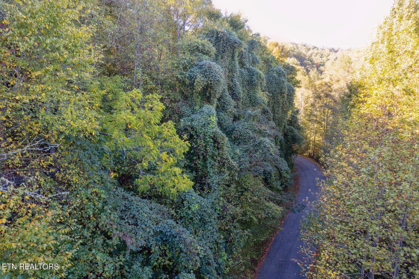 Riversong Way Lot 44 Property Photo 15