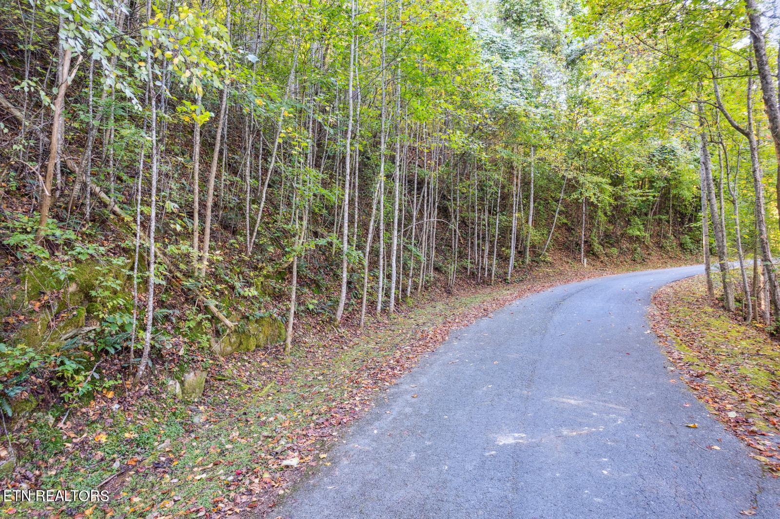 Riversong Way Lot 44 Property Photo 17