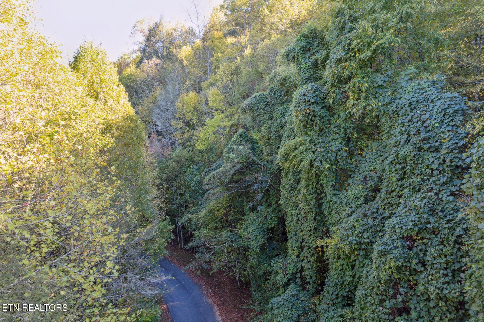 Riversong Way Lot 44 Property Photo 21