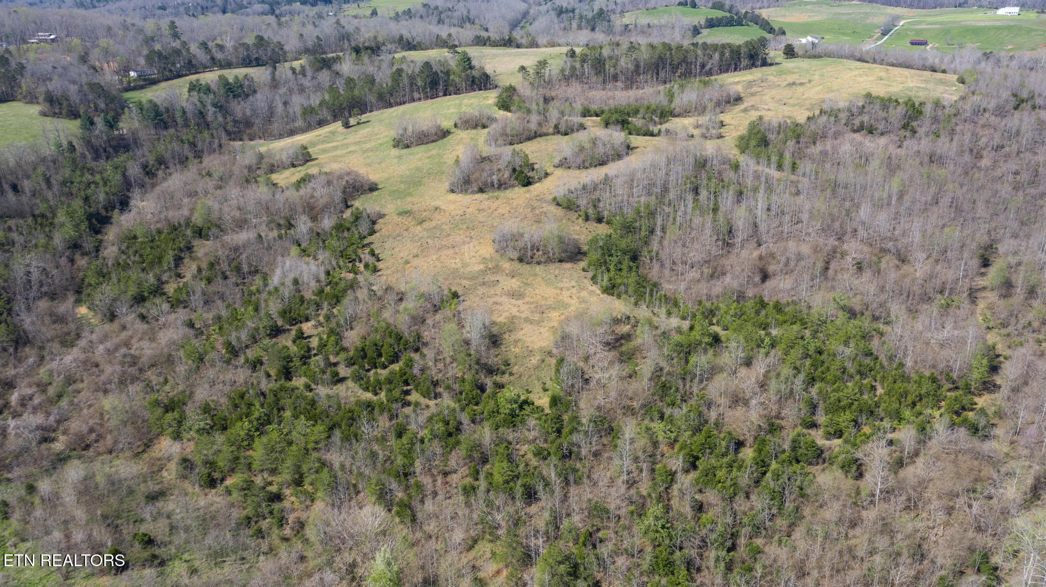 9011 Highway 321 Property Photo 12