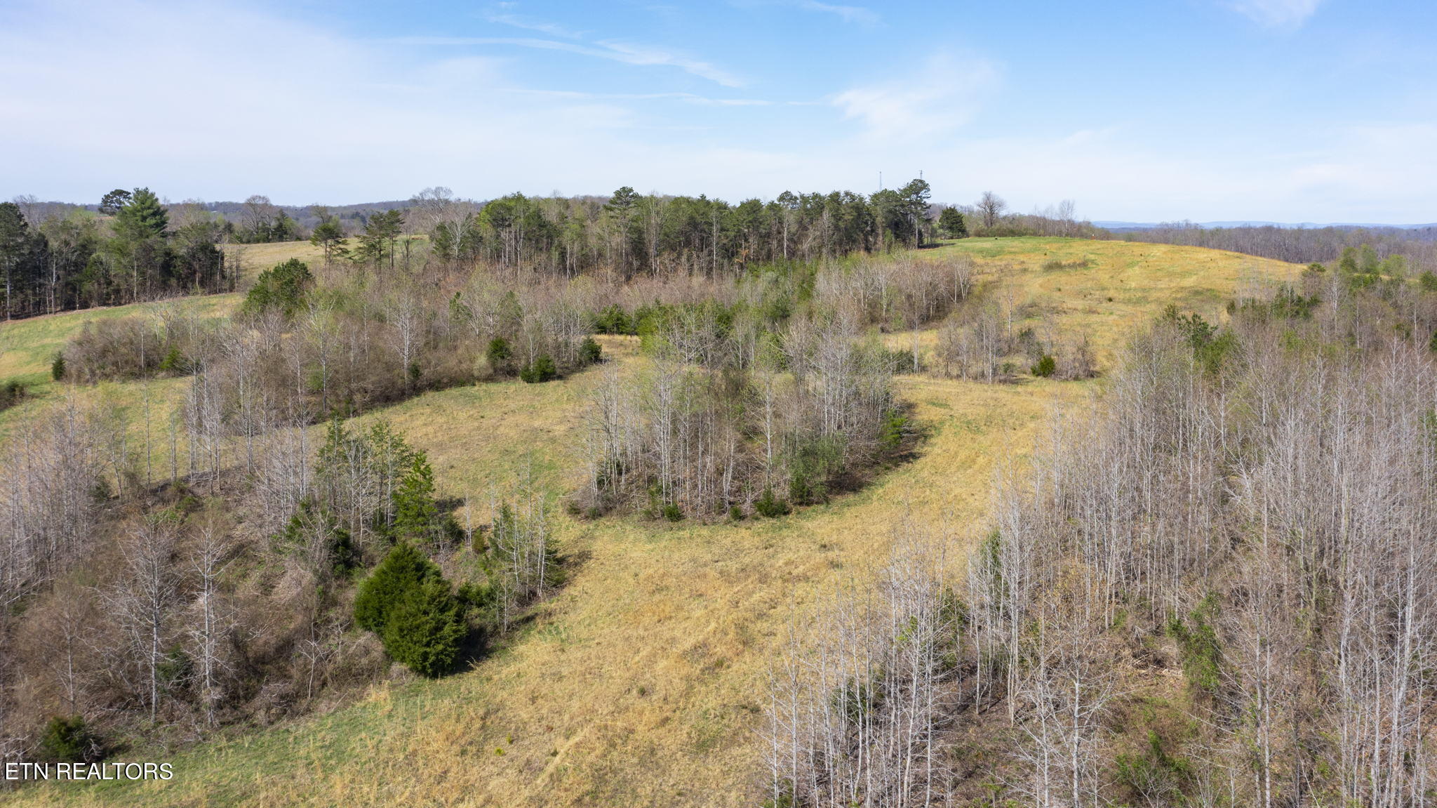 9011 Highway 321 Property Photo 13