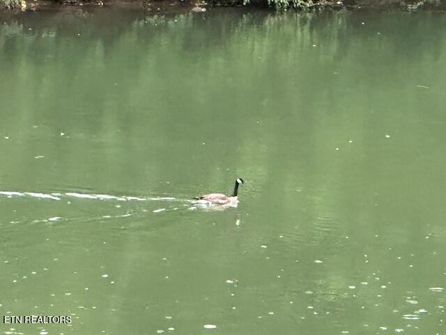 59 River Rd Property Photo 3