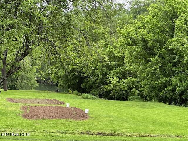 59 River Rd Property Photo 4