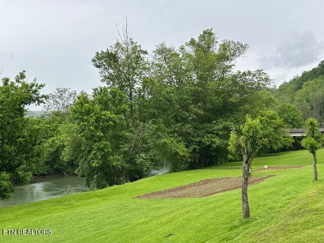 59 River Rd Property Photo 5