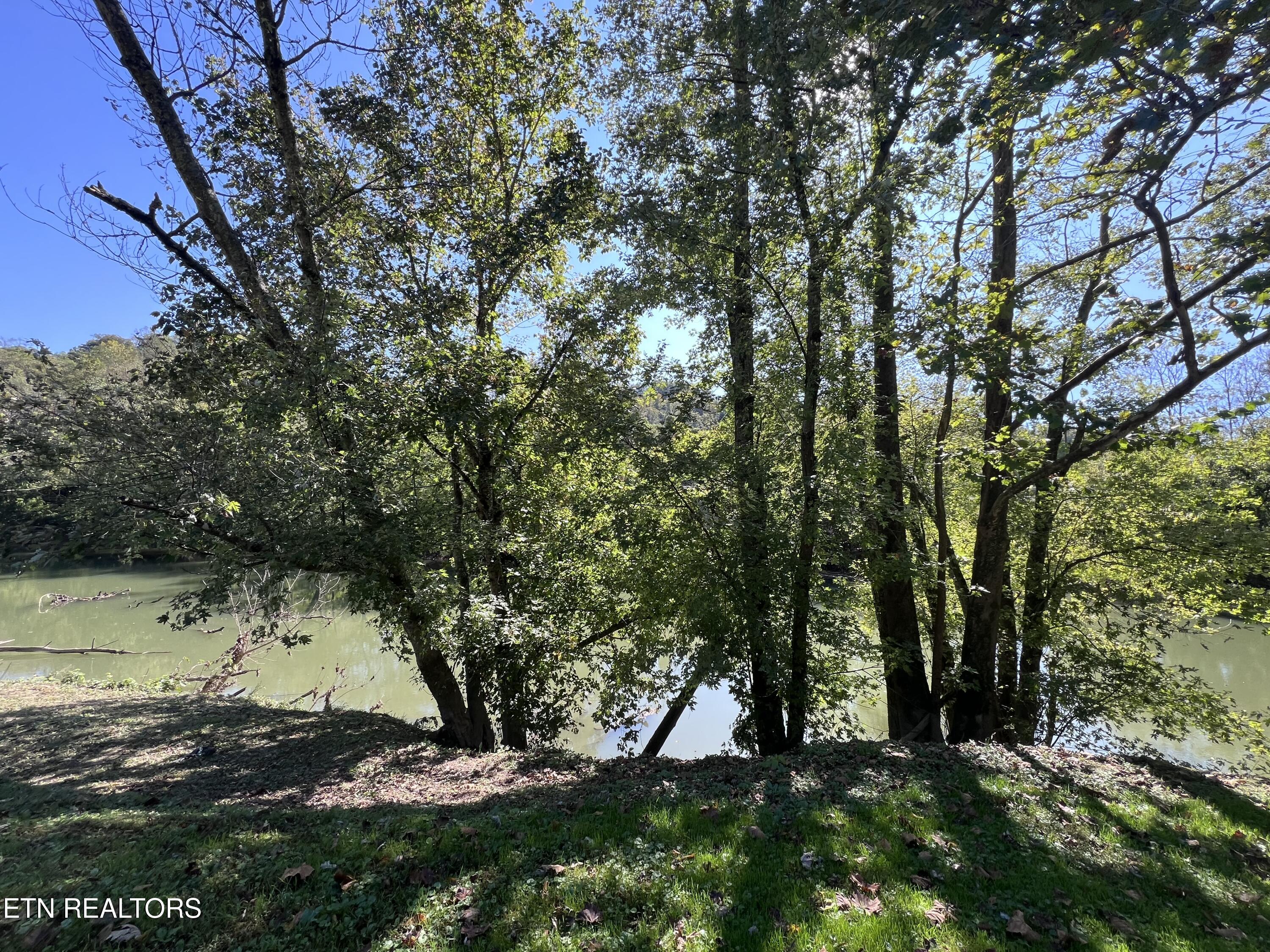 59 River Rd Property Photo 18